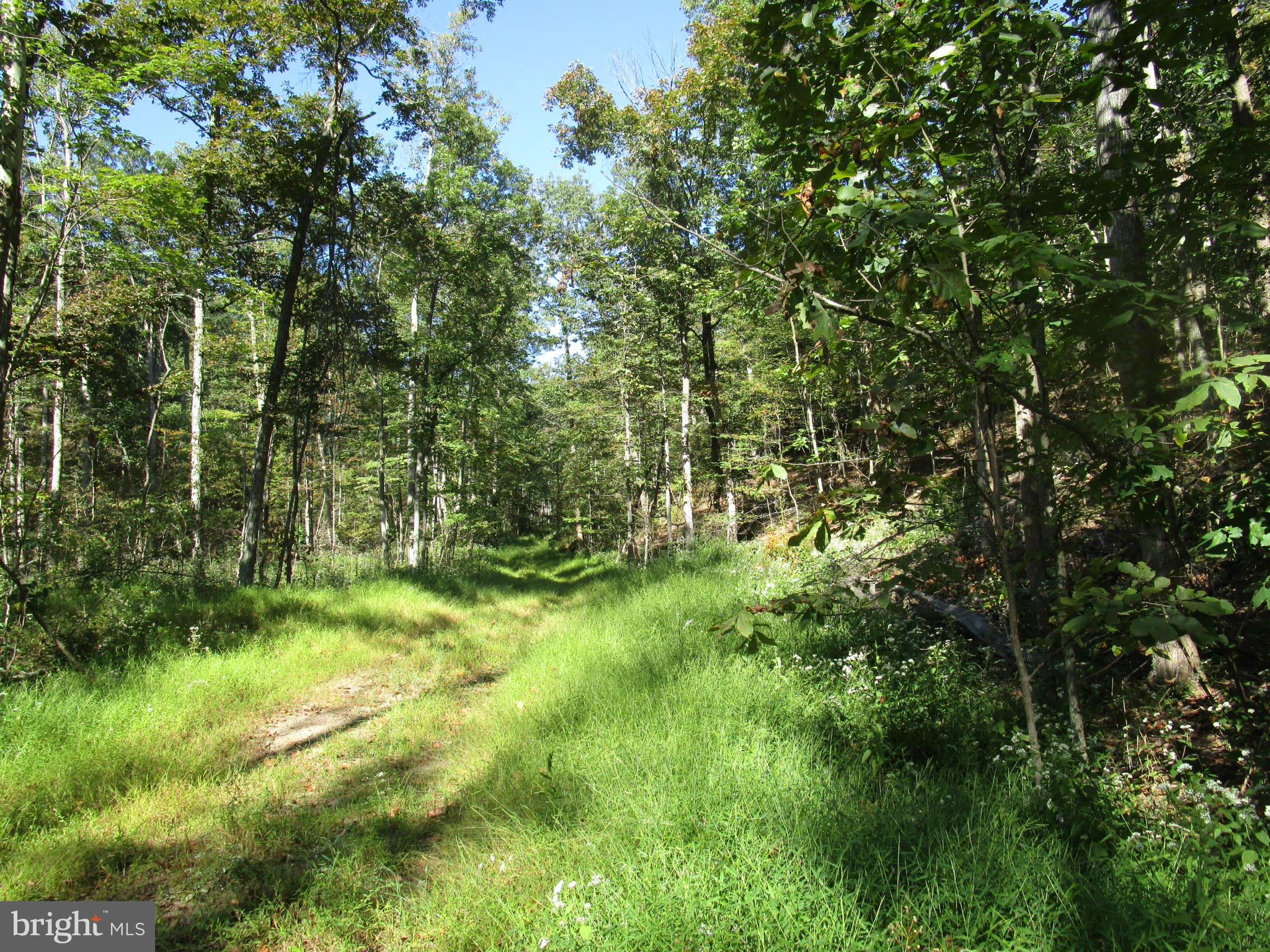 NONE AVAILABLE - Land