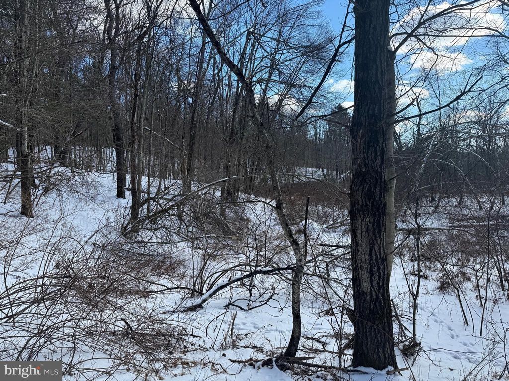 Photo of 0 River Court, POCONO LAKE, PA 18347 (MLS # PAMR2004516)
