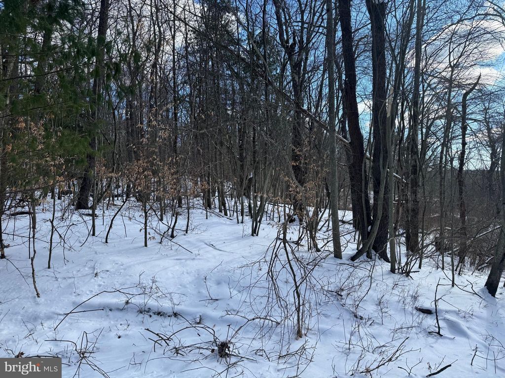 Photo of 0 River Court, POCONO LAKE, PA 18347 (MLS # PAMR2004516)