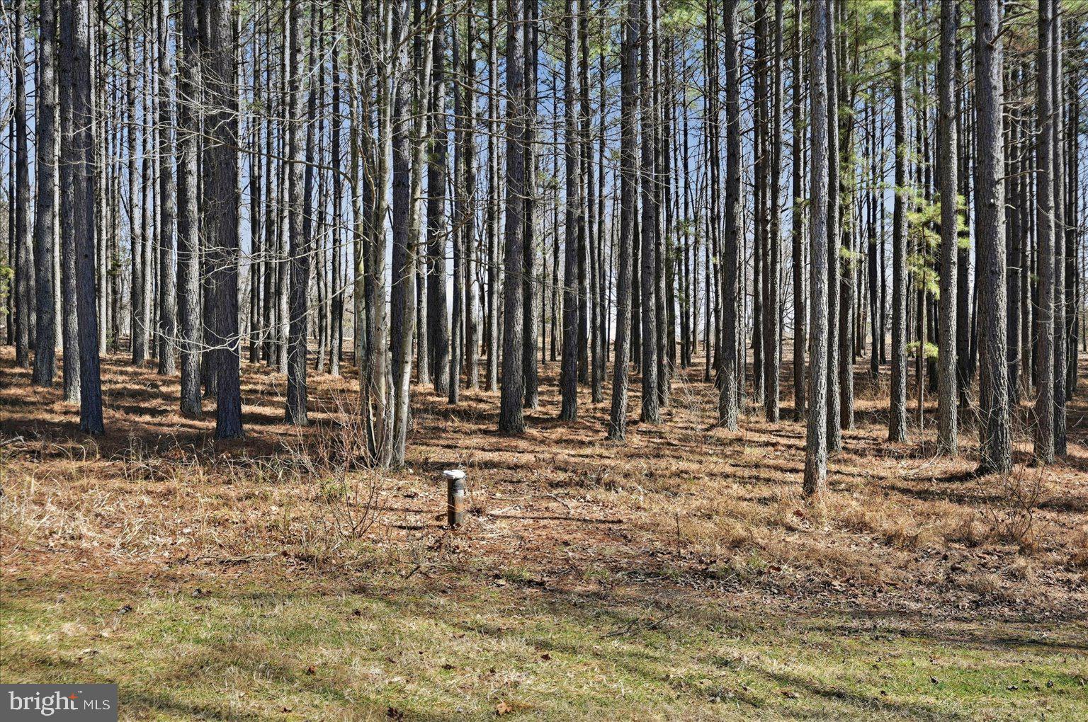 CREIGHTON FARMS - Land