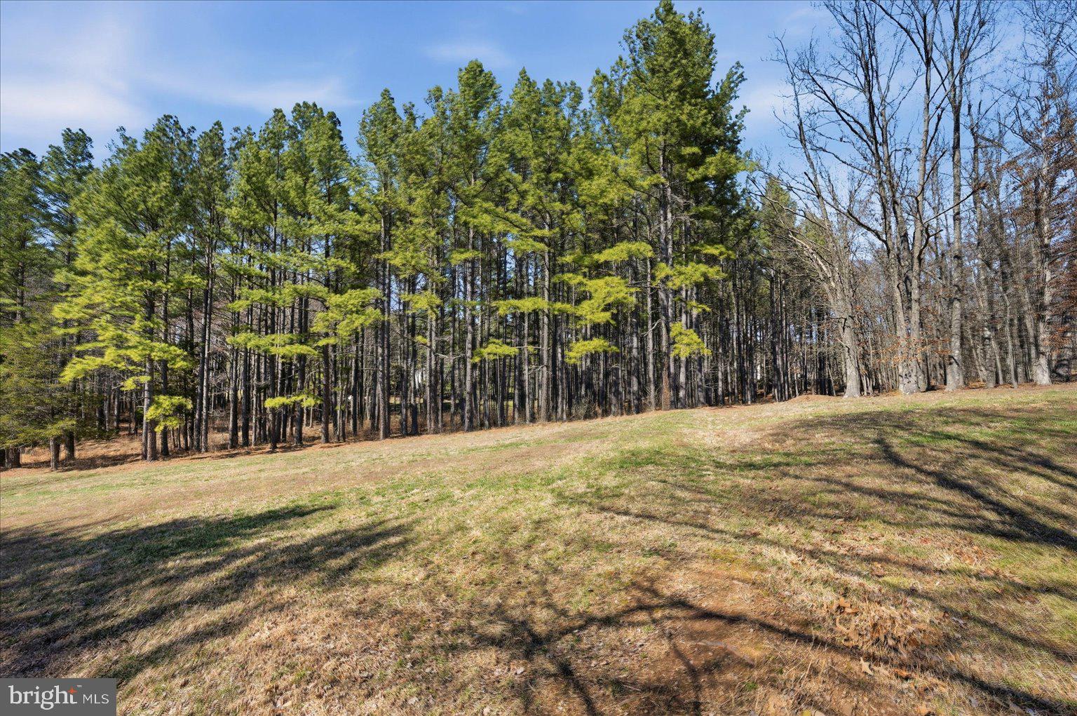 CREIGHTON FARMS - Land