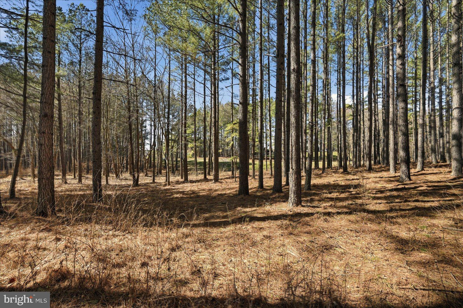 CREIGHTON FARMS - Land