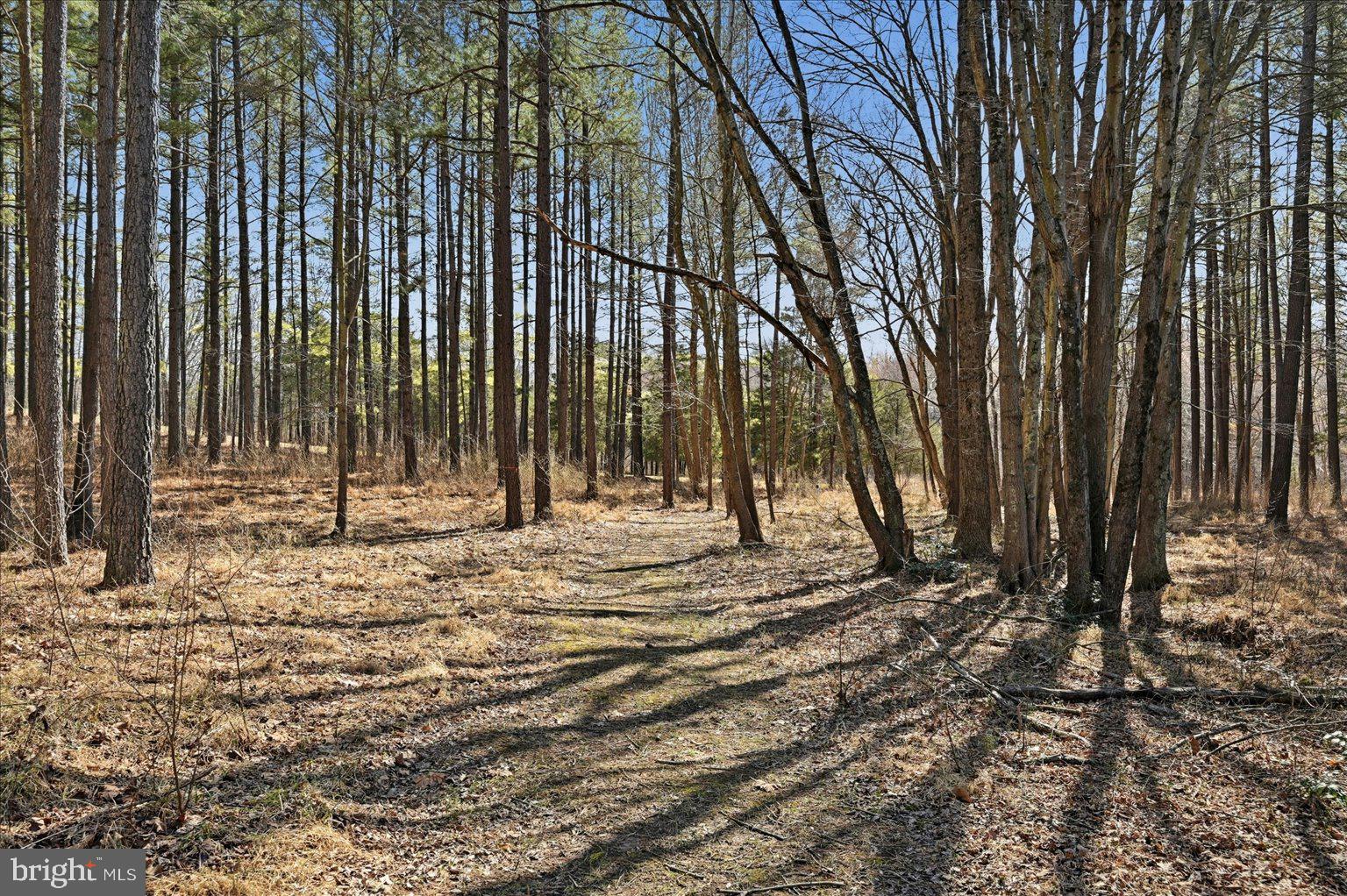 CREIGHTON FARMS - Land