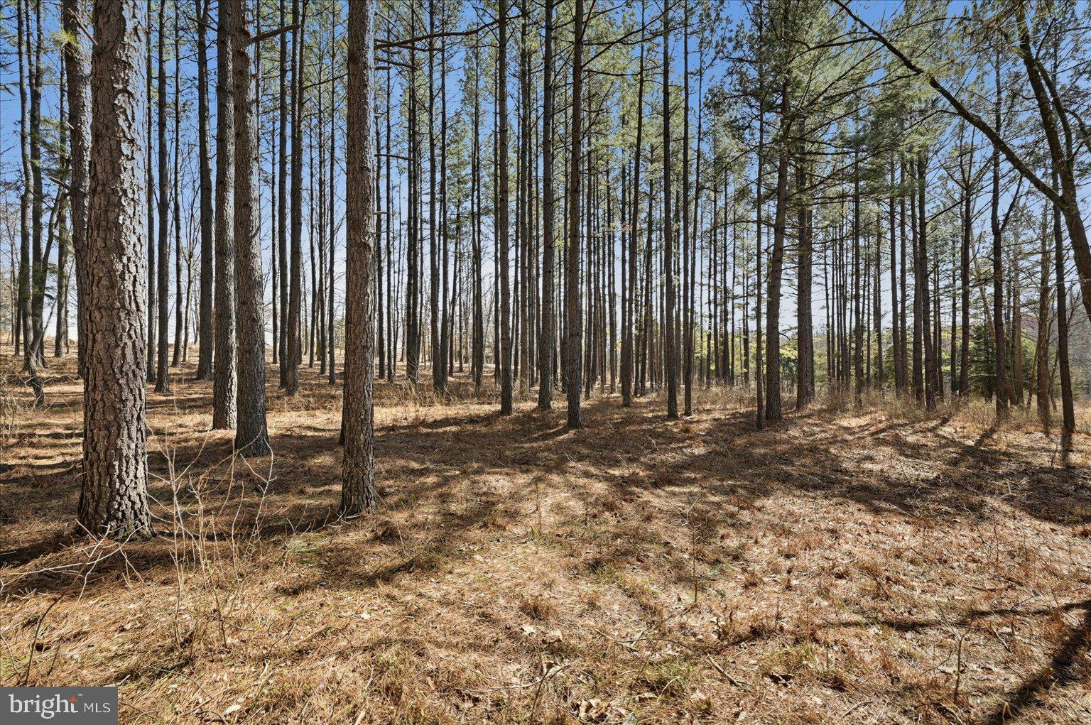 CREIGHTON FARMS - Land