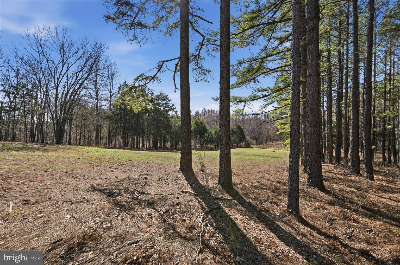 CREIGHTON FARMS - Land