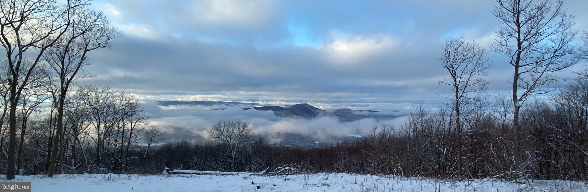 ASHTON WOODS PROPERTY OWNERS ASSOCIATION - Land