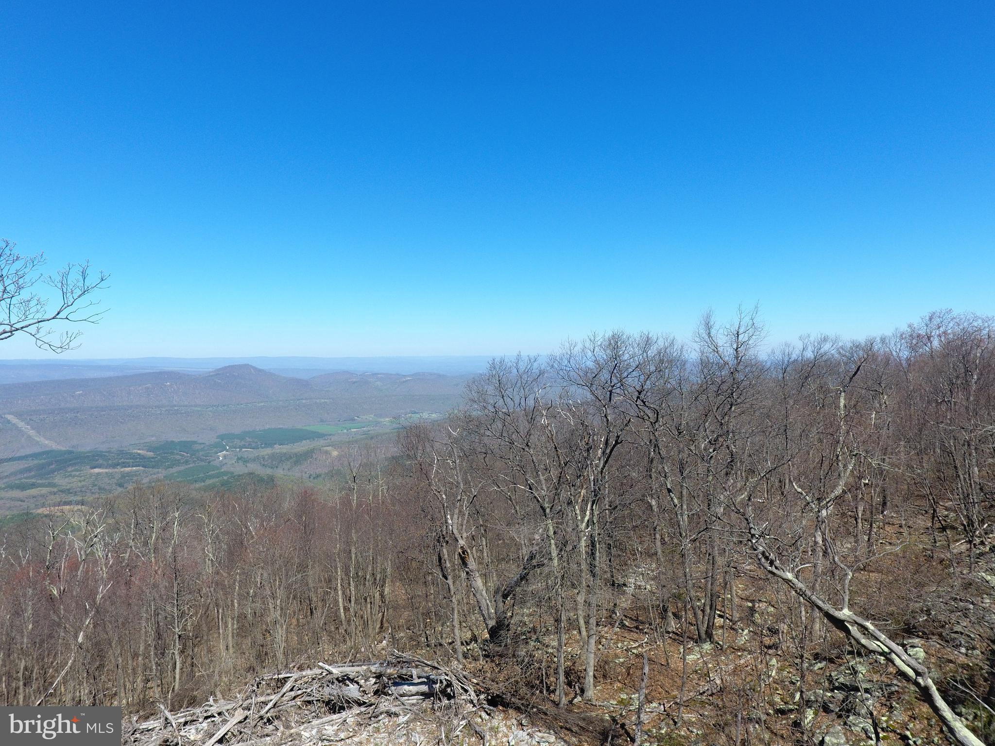 ASHTON WOODS PROPERTY OWNERS ASSOCIATION - Land