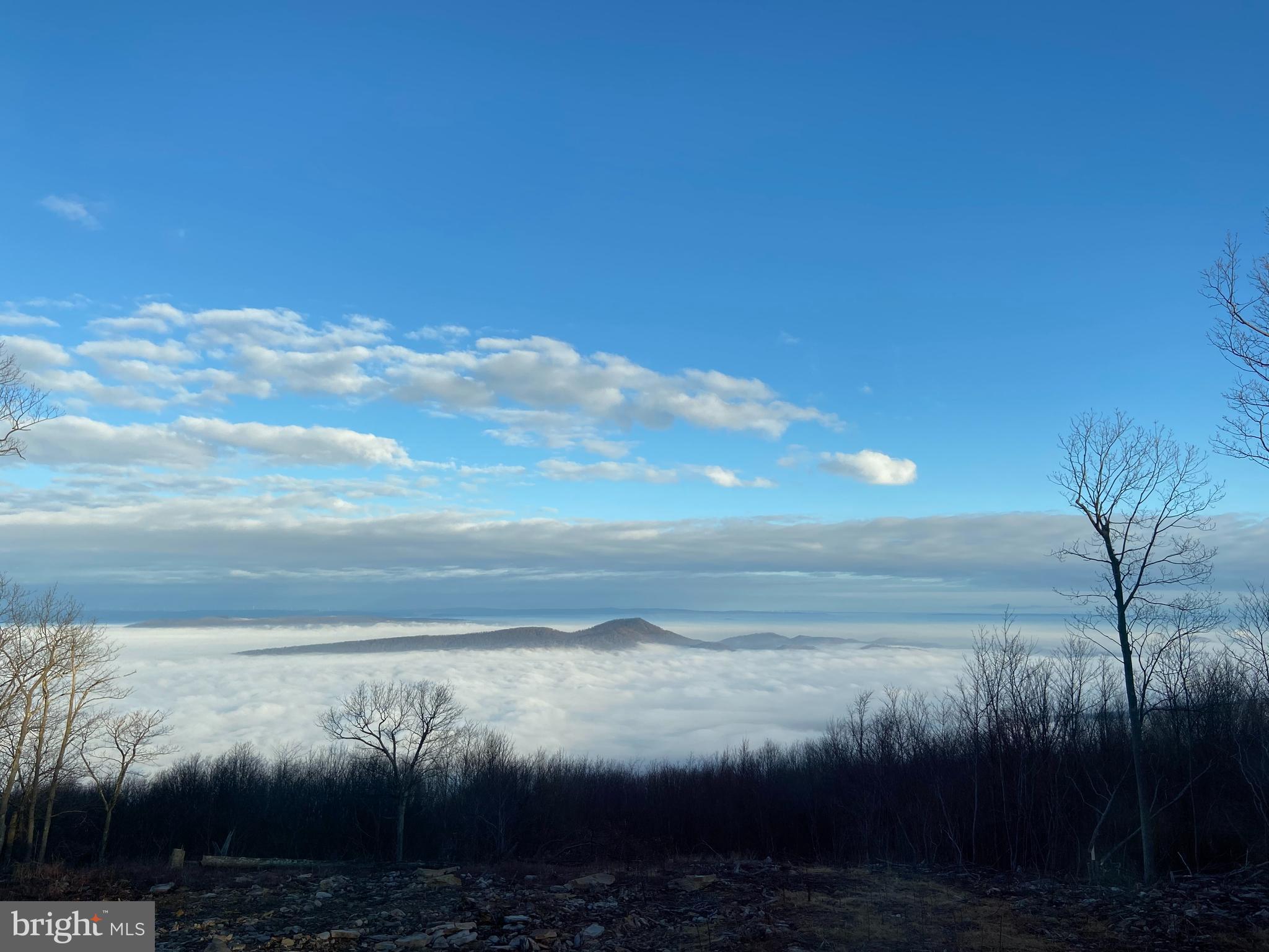 ASHTON WOODS PROPERTY OWNERS ASSOCIATION - Land