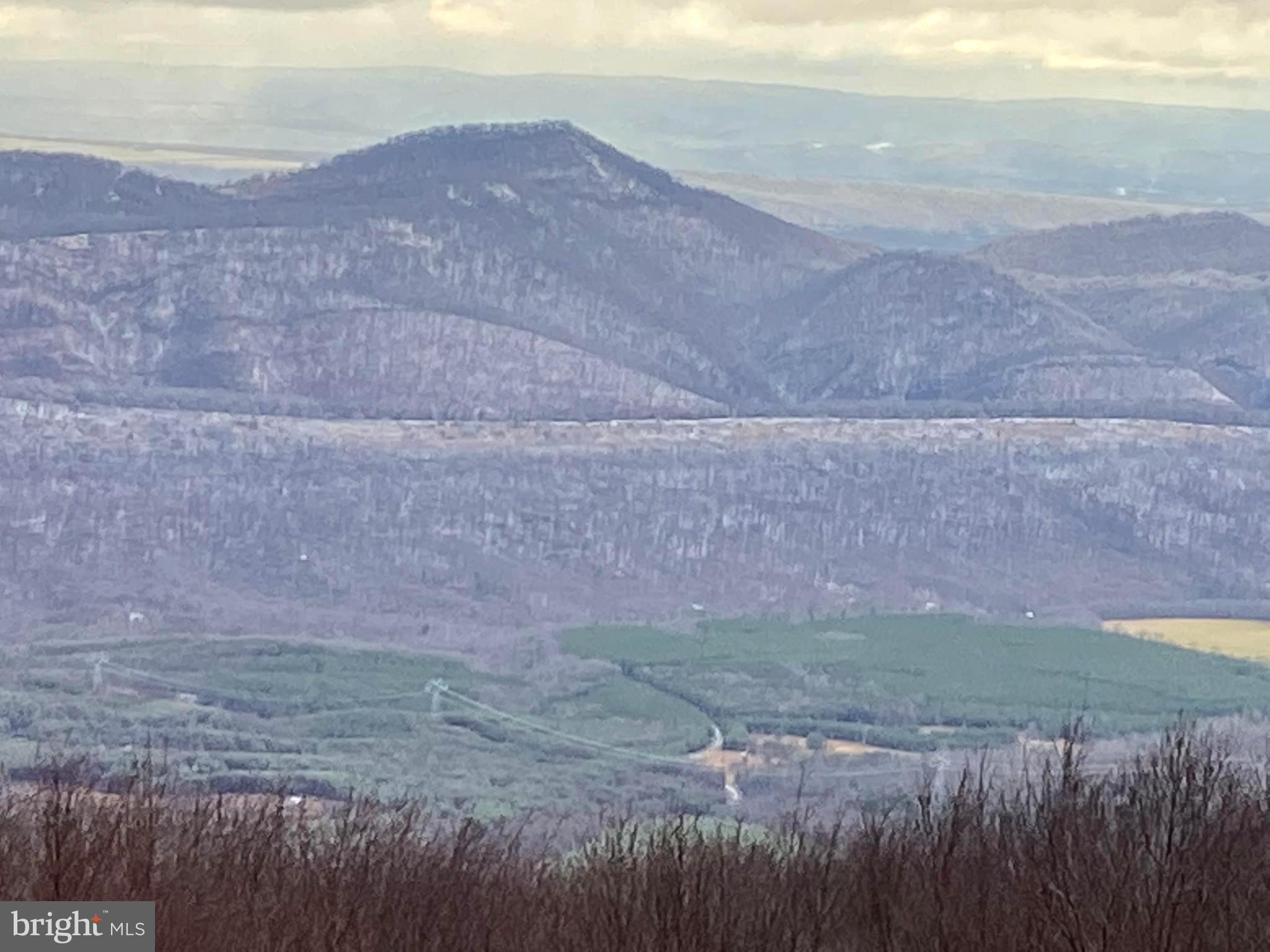 ASHTON WOODS PROPERTY OWNERS ASSOCIATION - Land