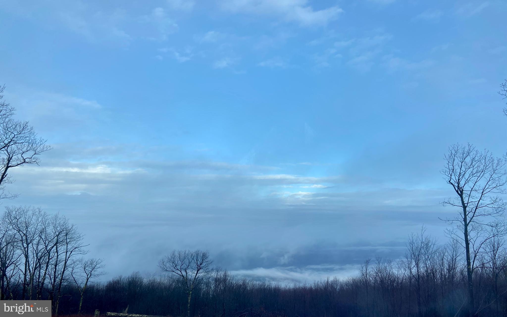 ASHTON WOODS PROPERTY OWNERS ASSOCIATION - Land