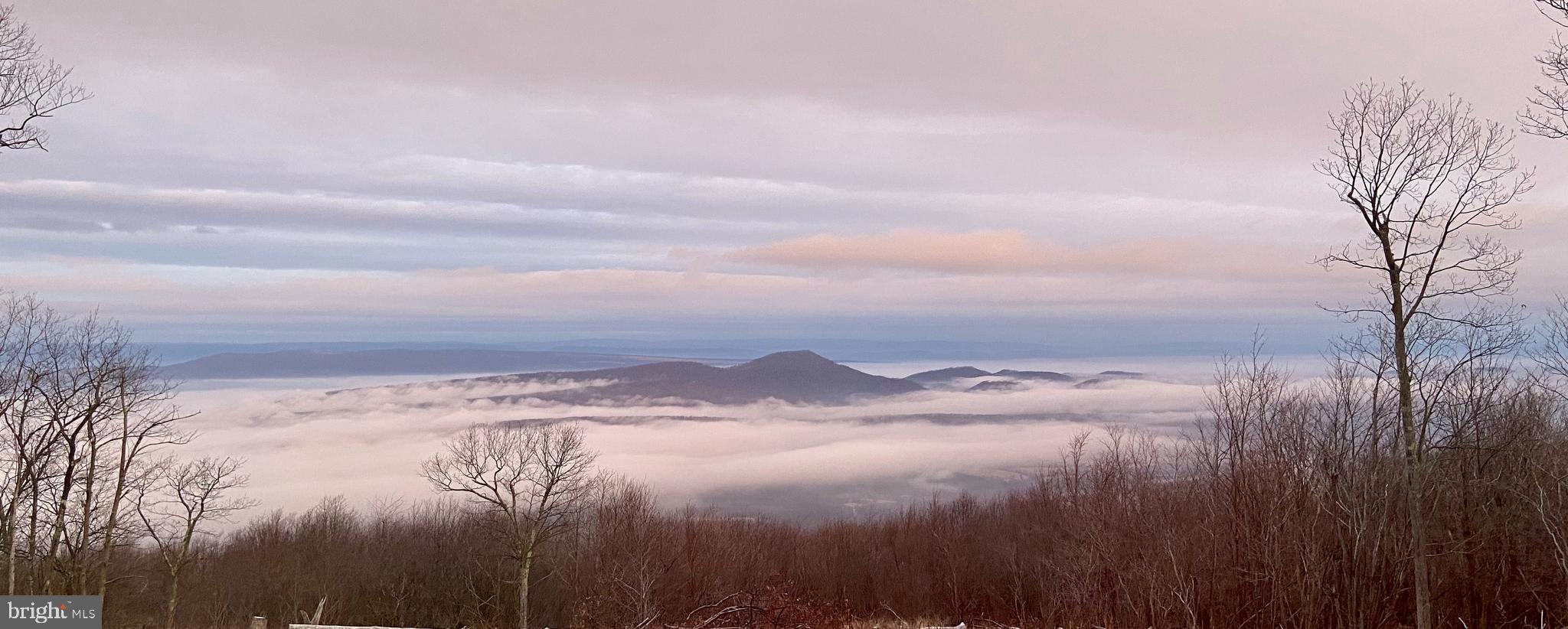 ASHTON WOODS PROPERTY OWNERS ASSOCIATION - Land