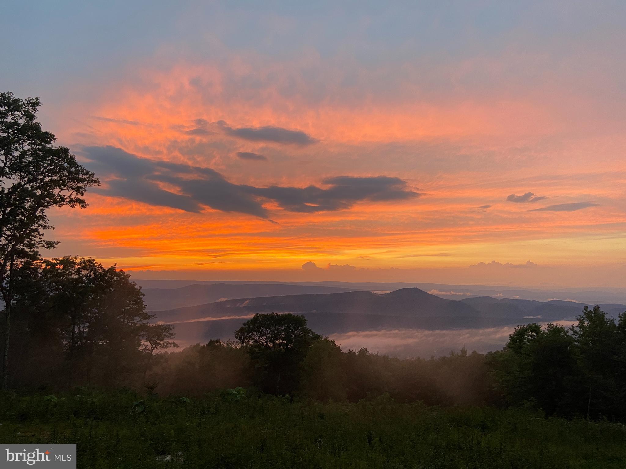 ASHTON WOODS PROPERTY OWNERS ASSOCIATION - Land