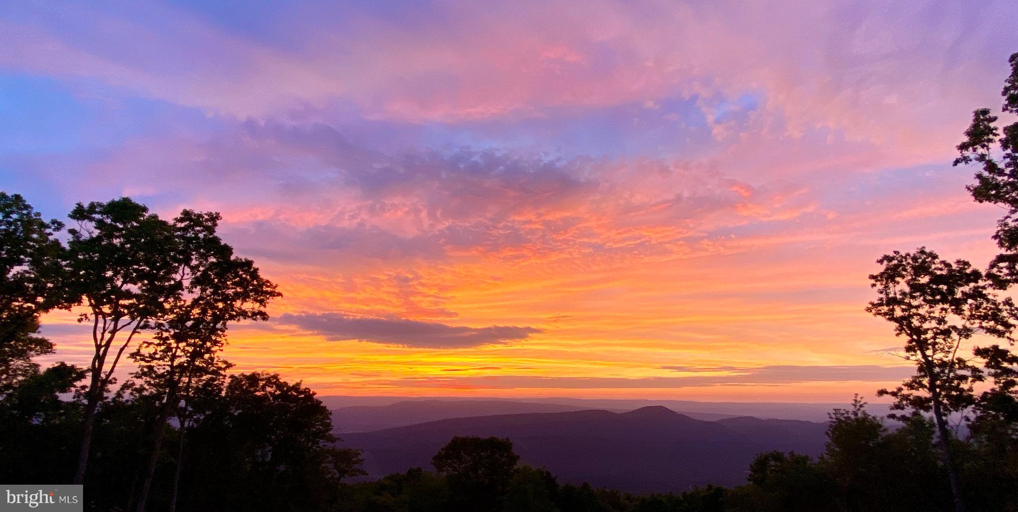 ASHTON WOODS PROPERTY OWNERS ASSOCIATION - Land