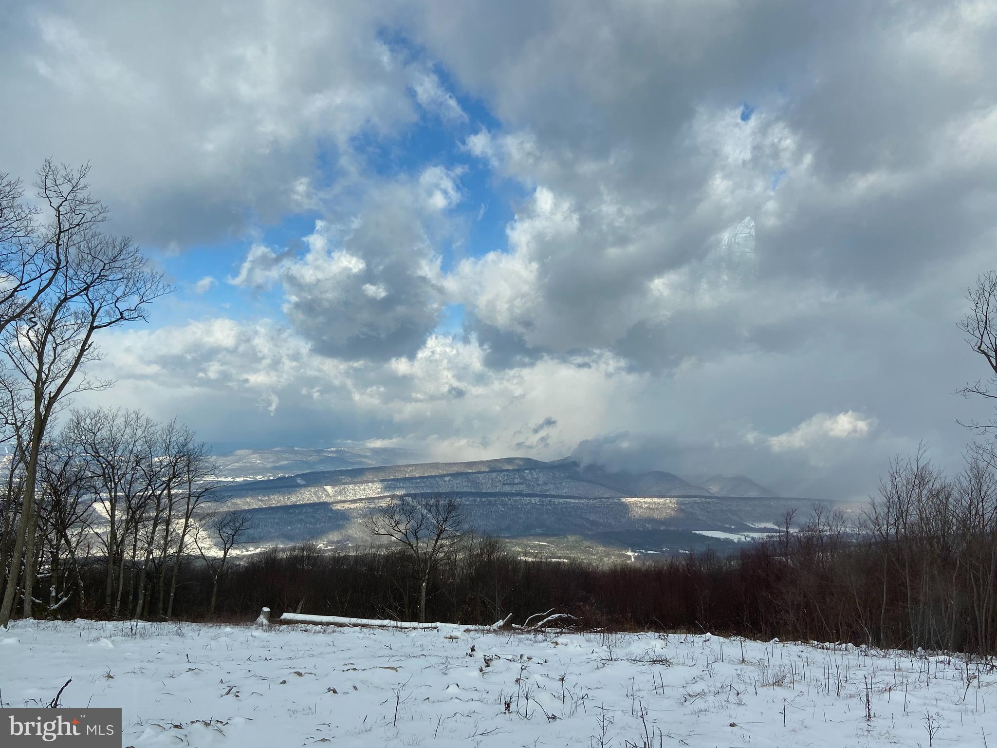 ASHTON WOODS PROPERTY OWNERS ASSOCIATION - Land