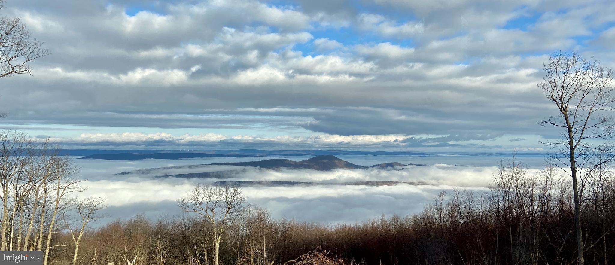 ASHTON WOODS PROPERTY OWNERS ASSOCIATION - Land