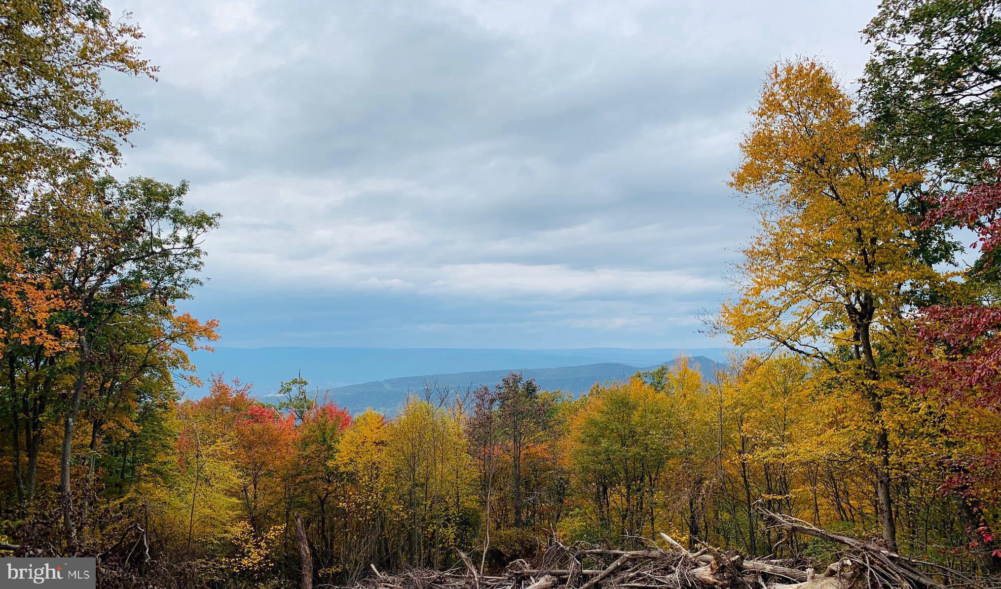 ASHTON WOODS PROPERTY OWNERS ASSOCIATION - Land