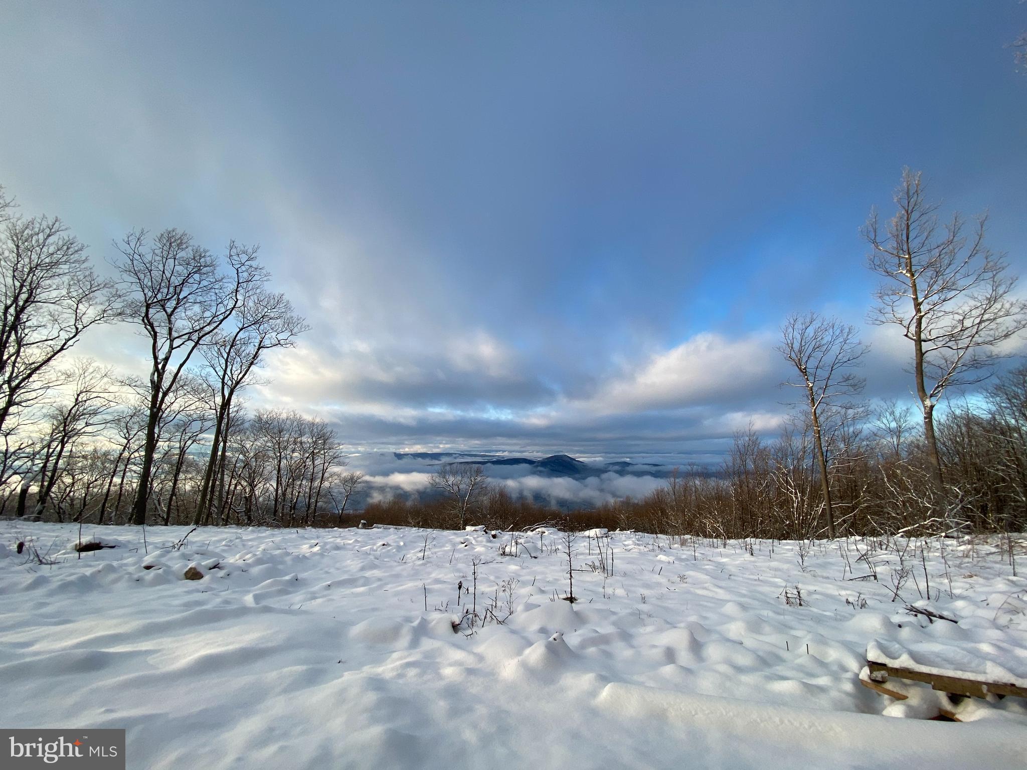 ASHTON WOODS PROPERTY OWNERS ASSOCIATION - Land