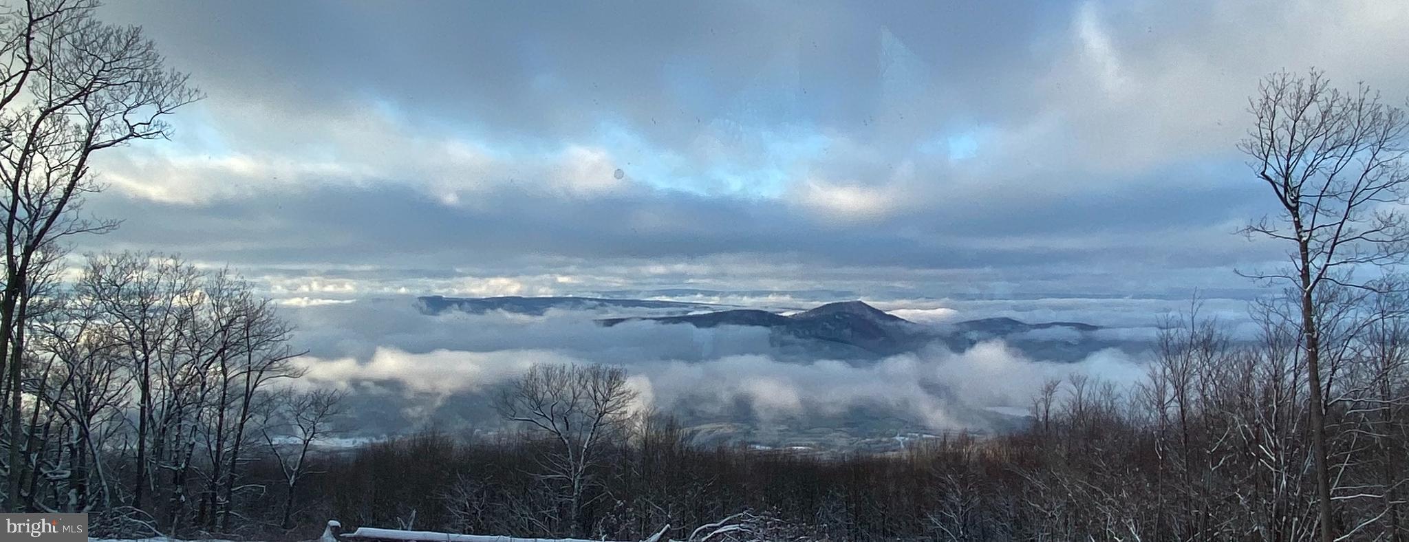 ASHTON WOODS PROPERTY OWNERS ASSOCIATION - Land