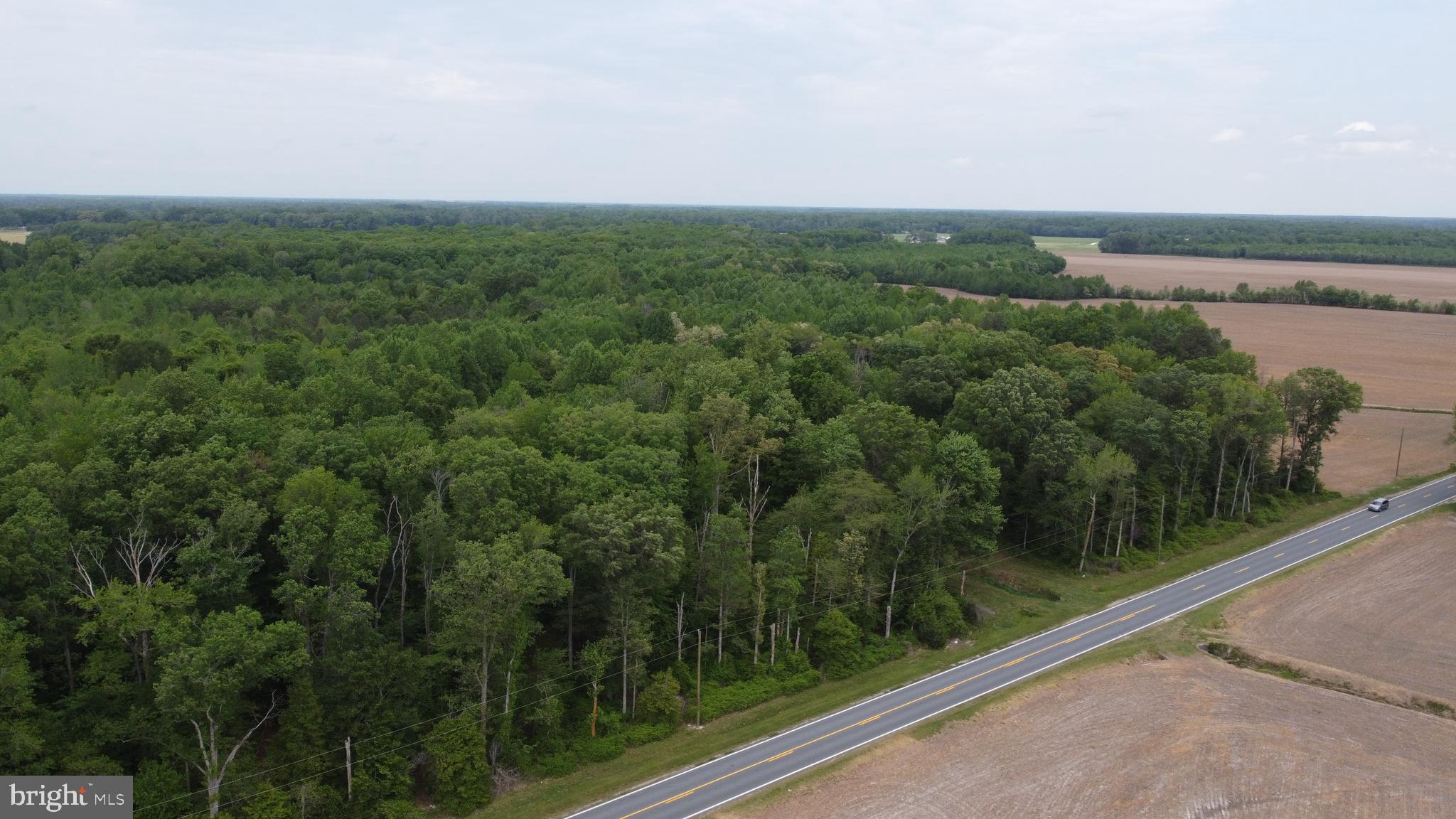 Lot 5 CEDAR GROVE CHURCH ROAD
