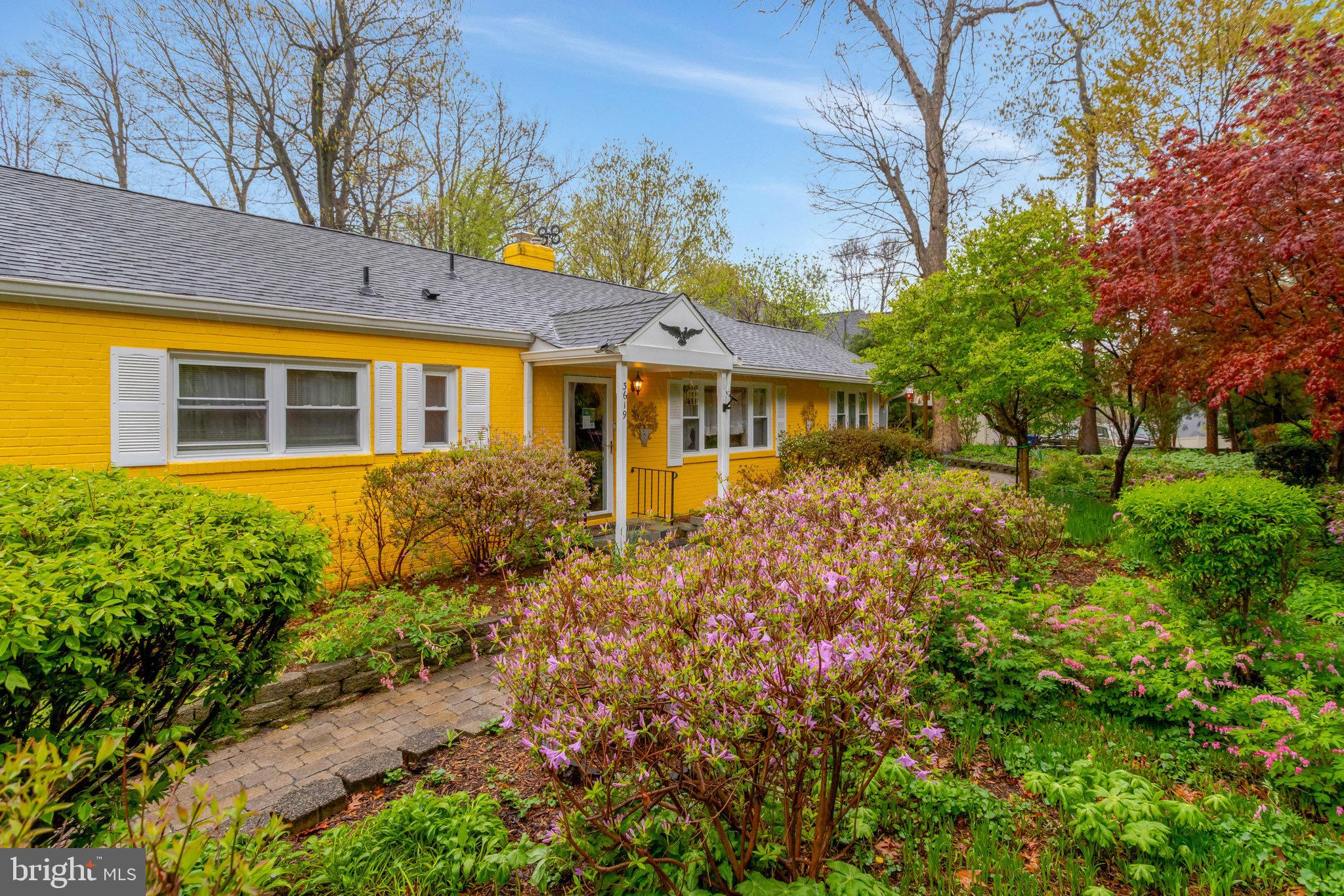 3619 HUMMER ROAD