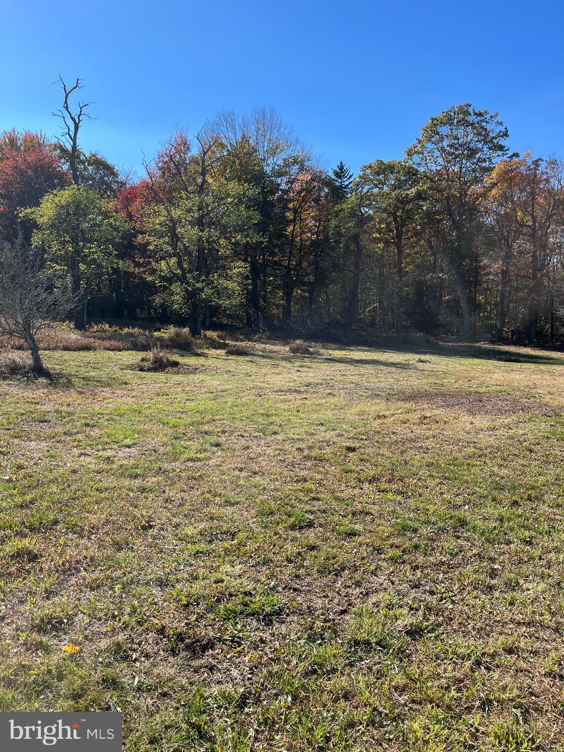 "WILDLIFE WELCOME" - 1 Acre of Open Pasture w/ View of Mount Storm Lake and lots of Road Frontage. 4 Acres residue fully wooded level land. Short drive to lake. Brand New Public Lake Dock/Ramp. Tons of Parking. New 20' gravel access road. Pre-Built driveway! RV ready on Day 1! Sensible Covenants w/ shooting & hunting allowed! Perfect setting to build Retirement or Getaway. New Survey. Electric on Site! Low WV Taxes.
ONLY 23 MILES TO TIMBERLINE SKI RESORT AND 15 MILES TO BLACKWATER FALLS STATE PARK. JUST REDUCED! ACT FAST!!
