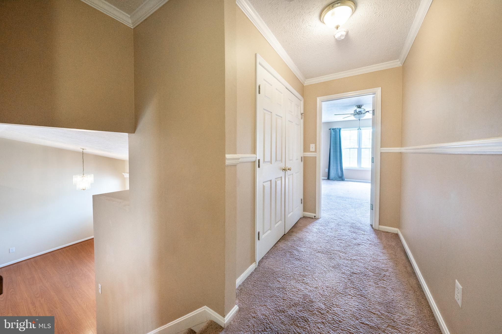 ESSEX SOUTH - Residential