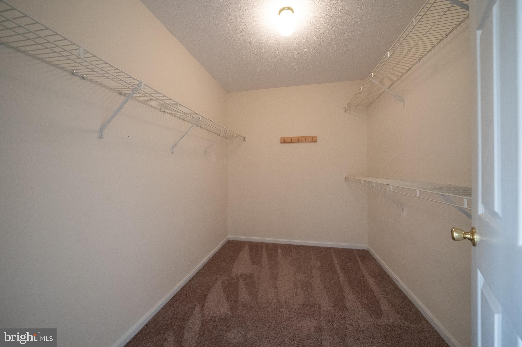 ESSEX SOUTH - Residential