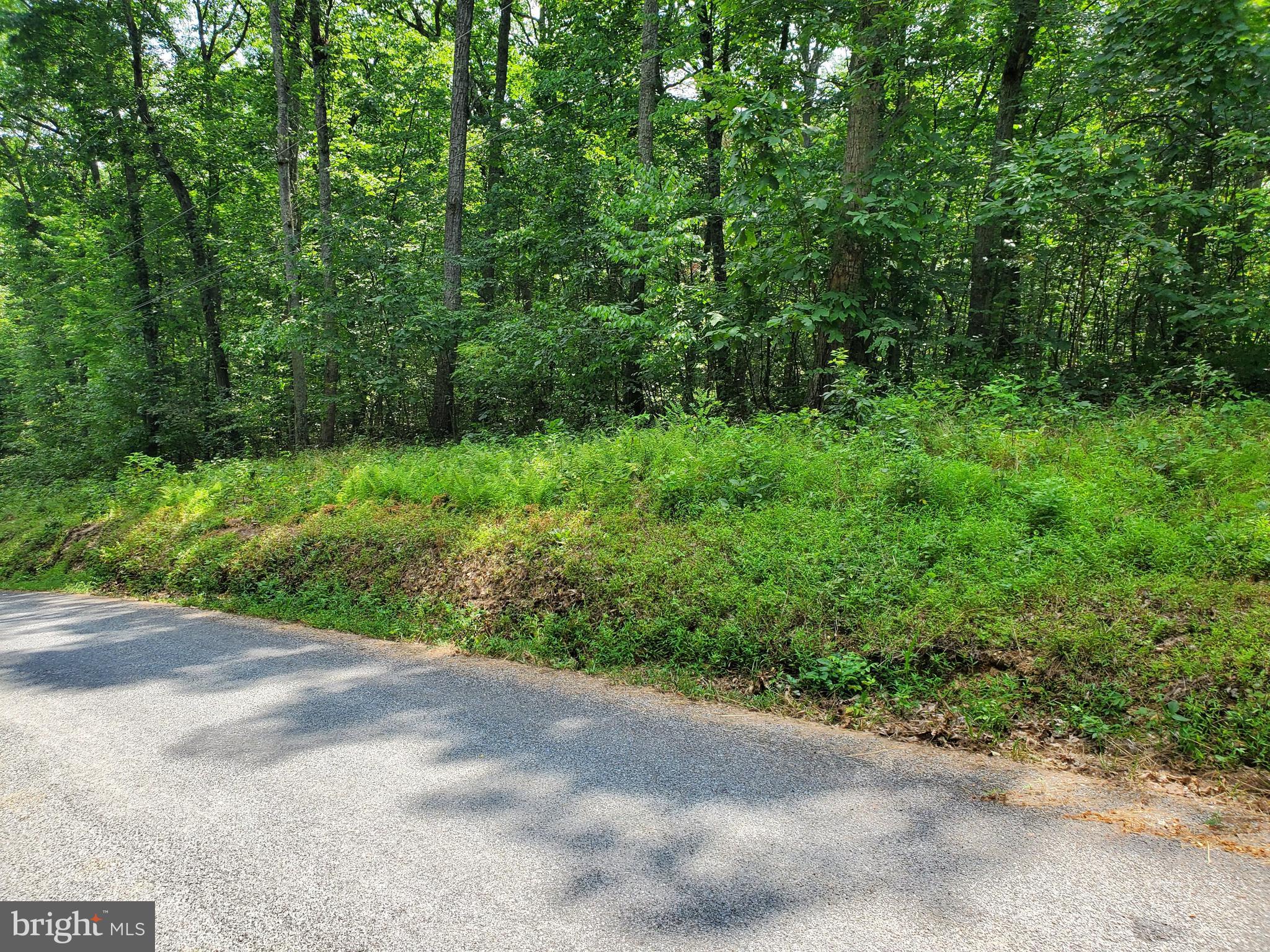 POPLAR SPRINGS - Land