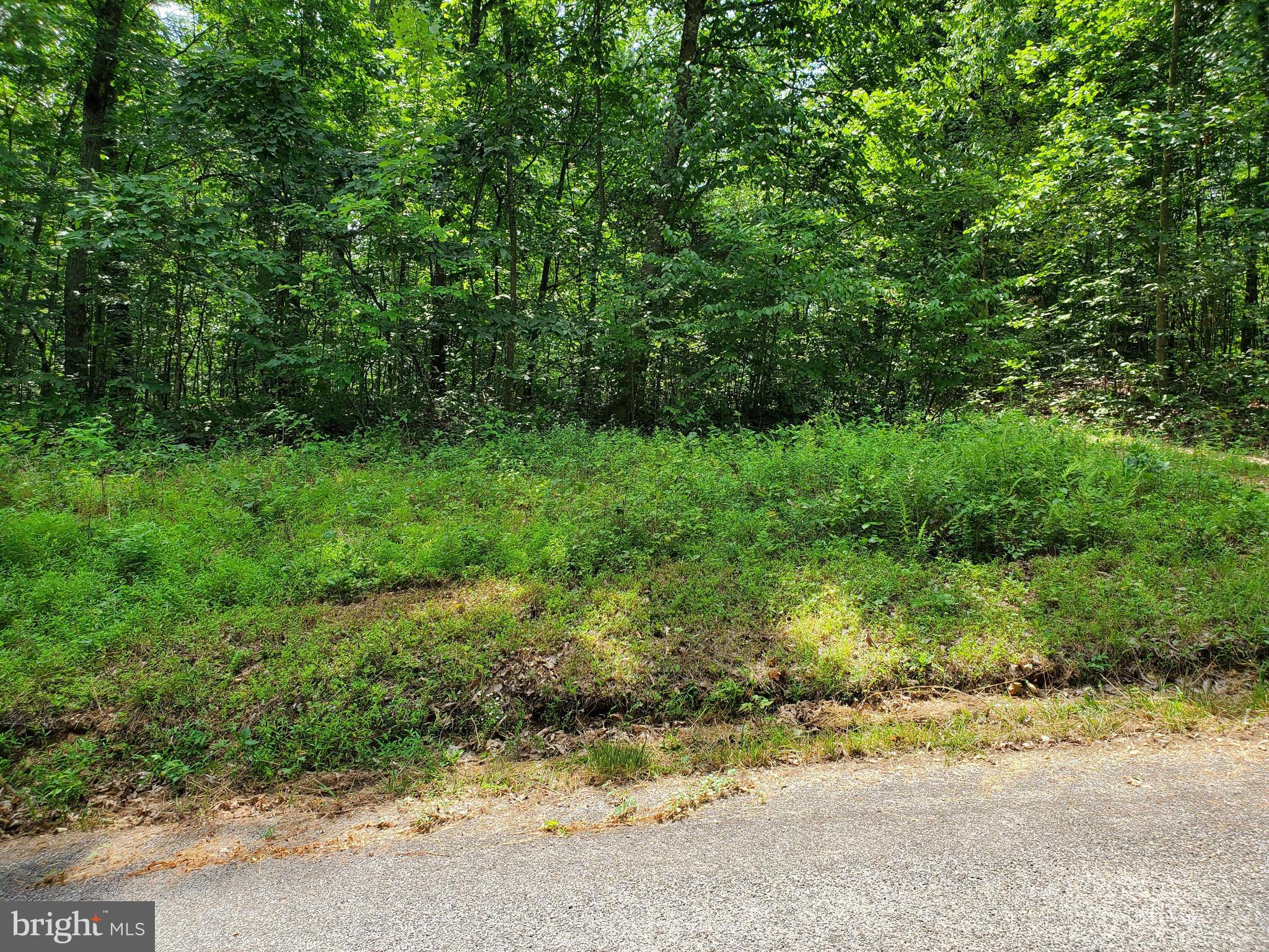 POPLAR SPRINGS - Land