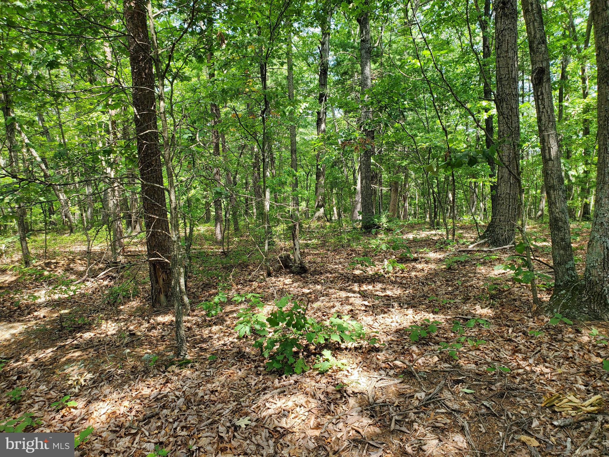 POPLAR SPRINGS - Land