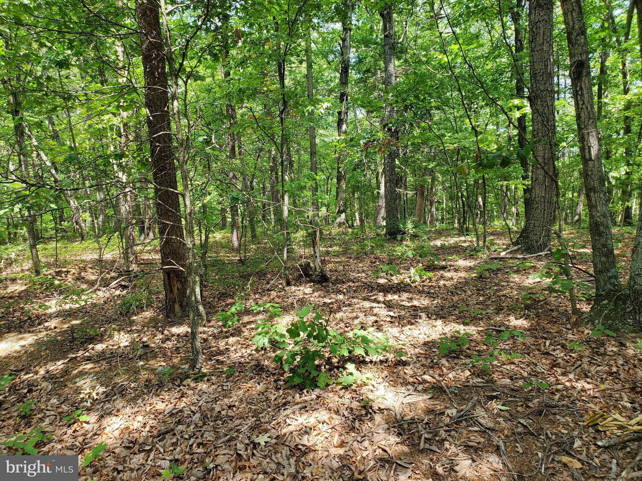 POPLAR SPRINGS - Land