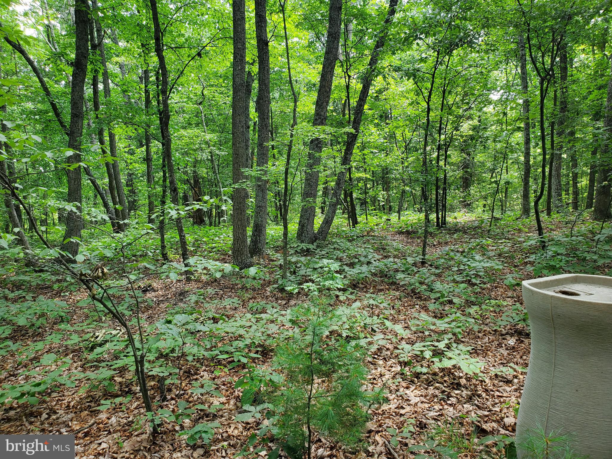 POPLAR SPRINGS - Land