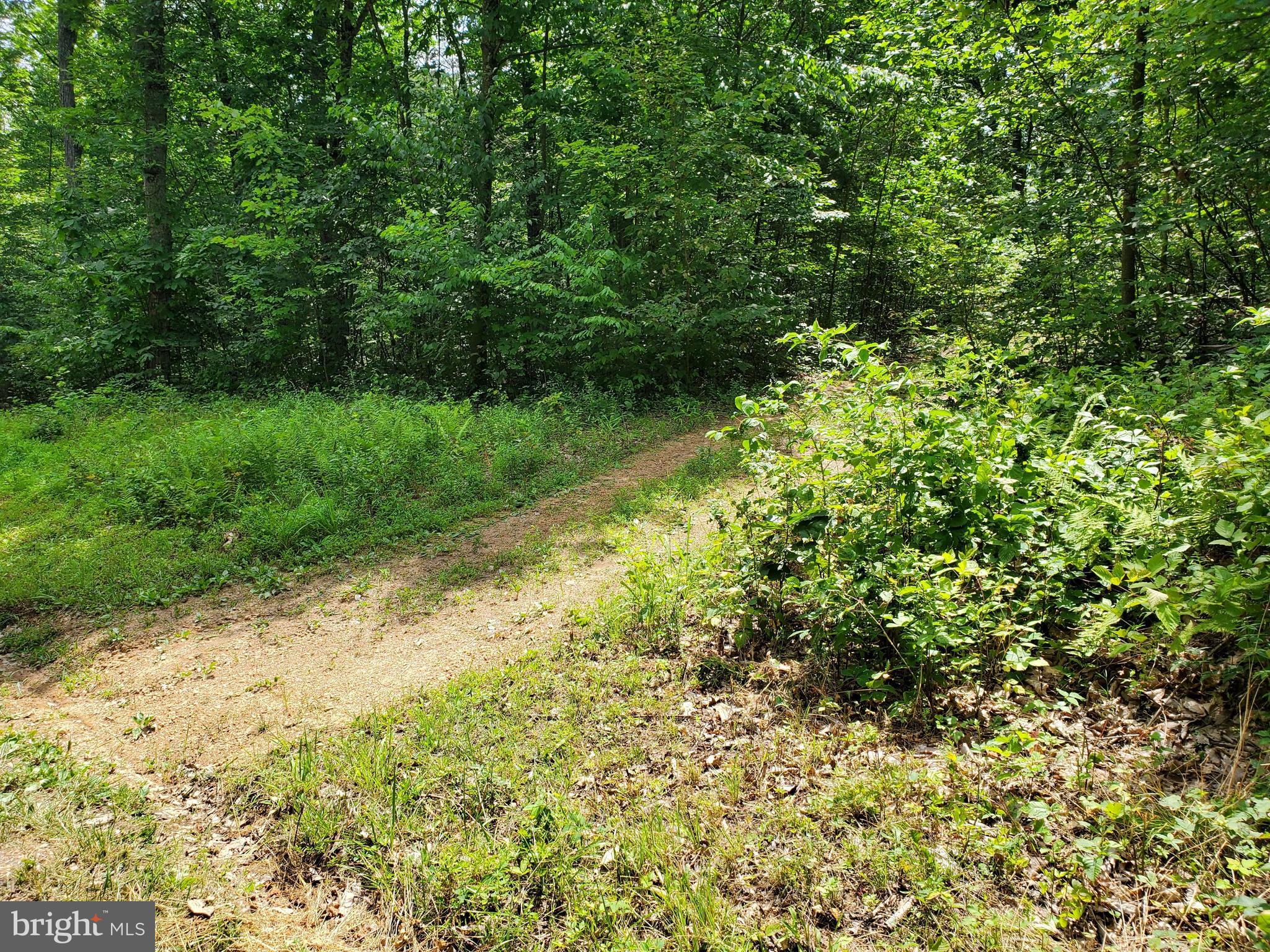 POPLAR SPRINGS - Land