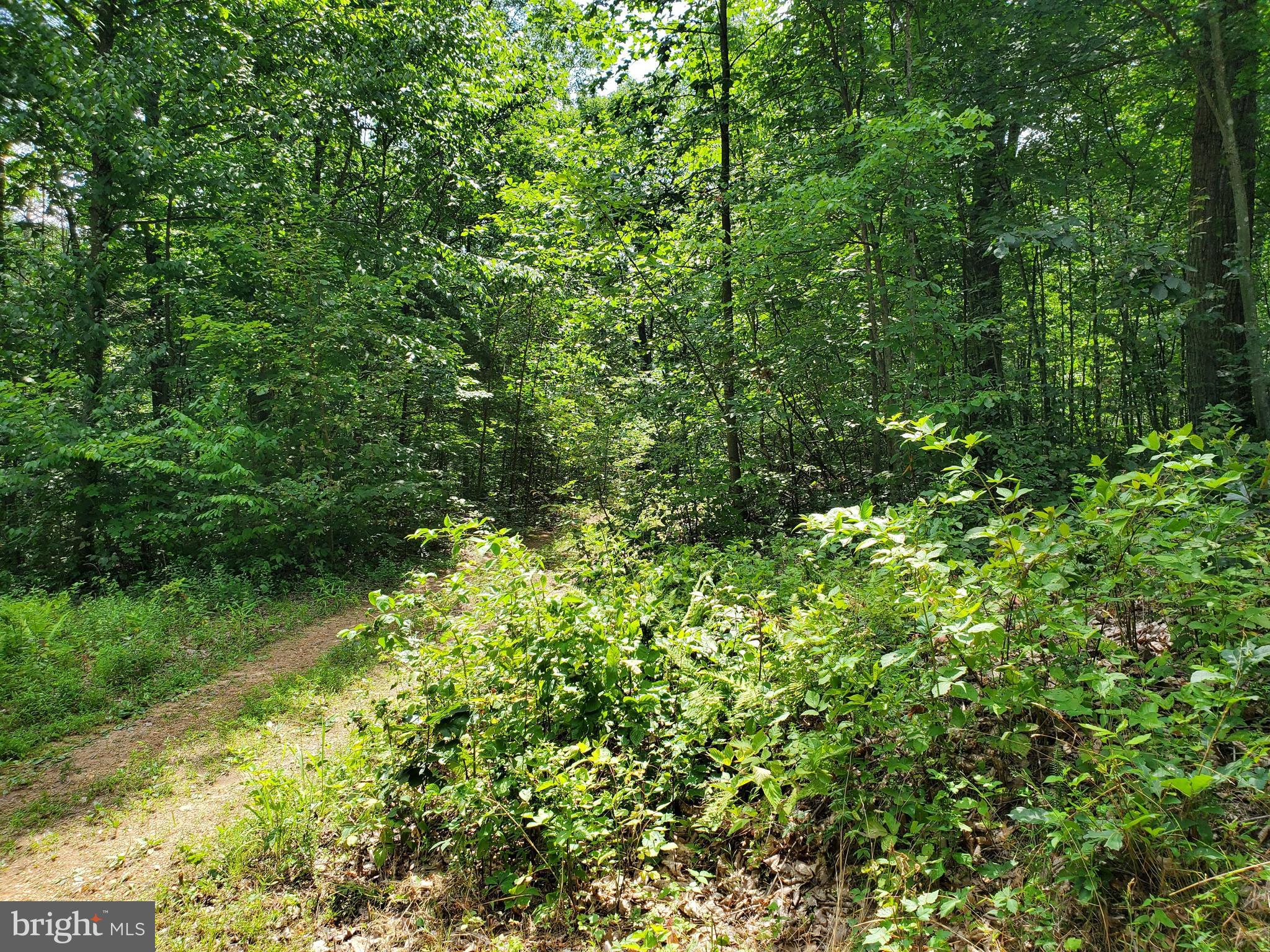 POPLAR SPRINGS - Land