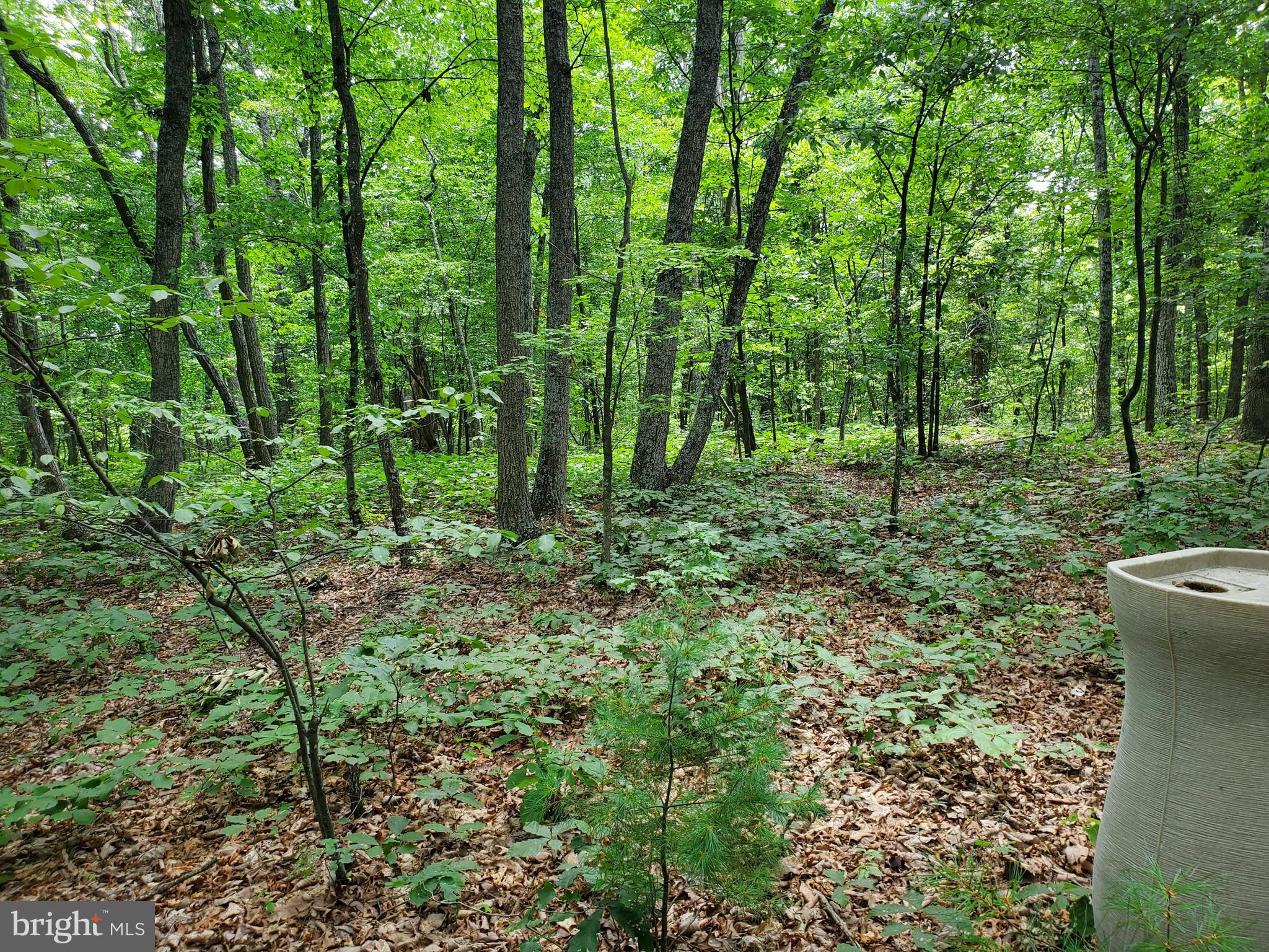 POPLAR SPRINGS - Land