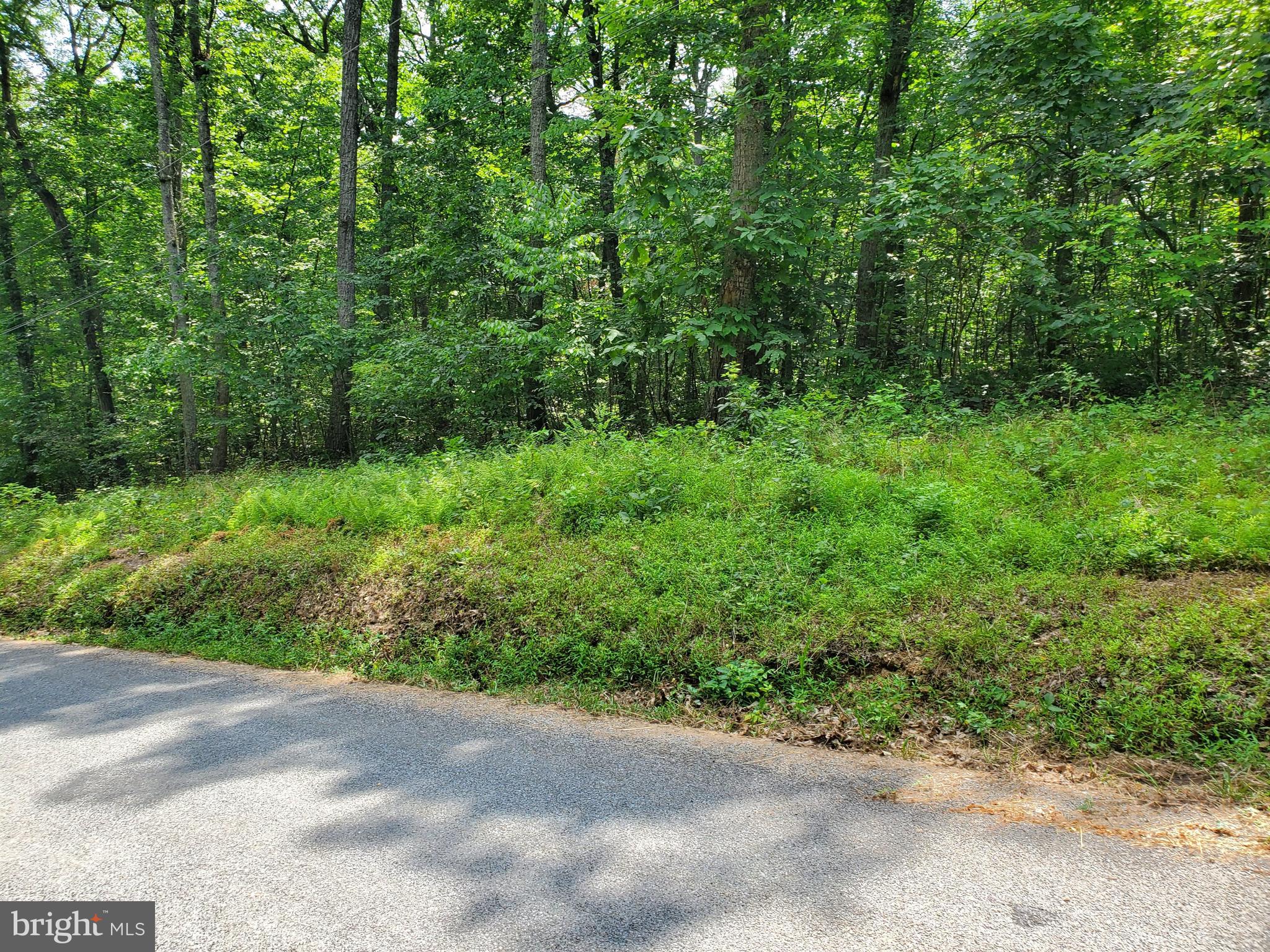 POPLAR SPRINGS - Land