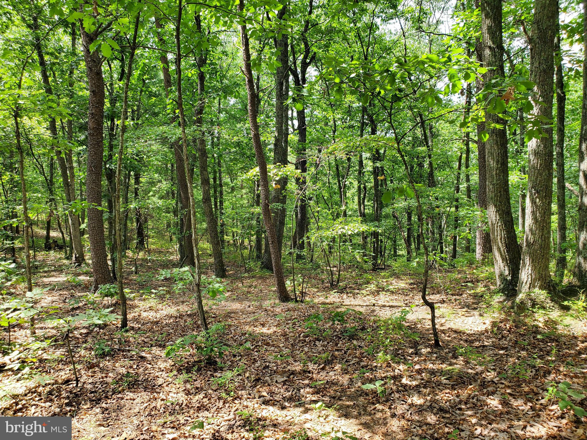 POPLAR SPRINGS - Land