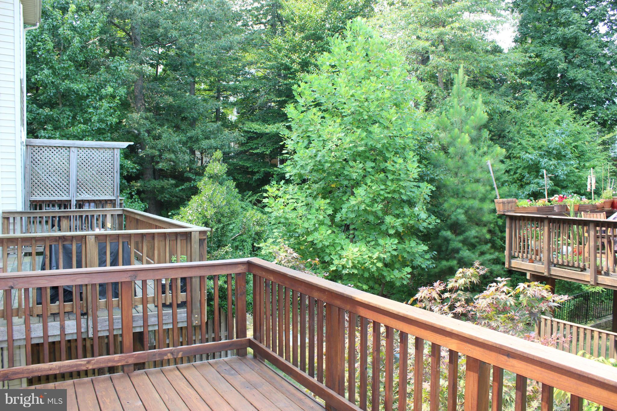 COOK INLET - Residential Lease