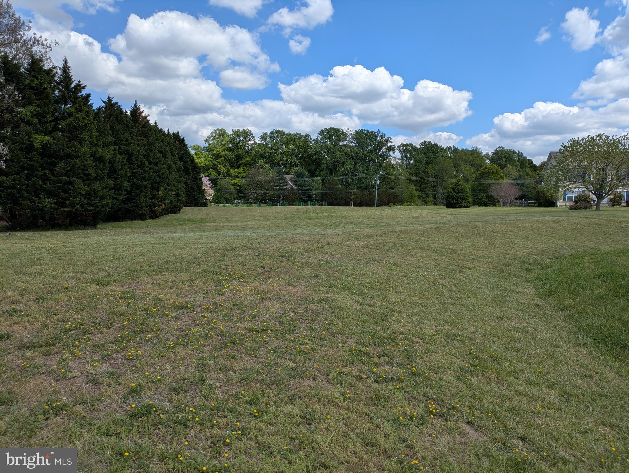 EAGLE MANOR - Land