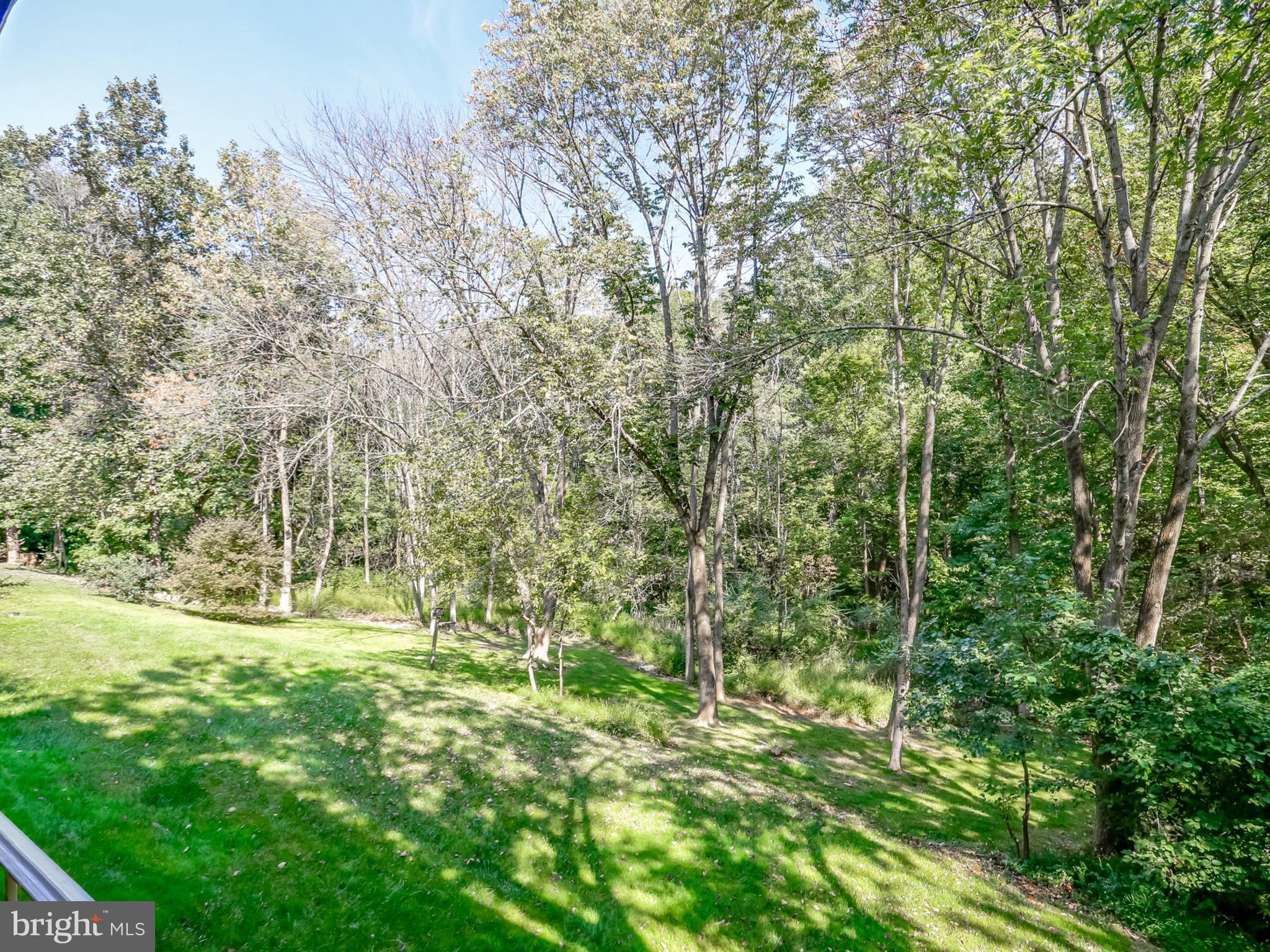 CARDINAL FOREST - Residential