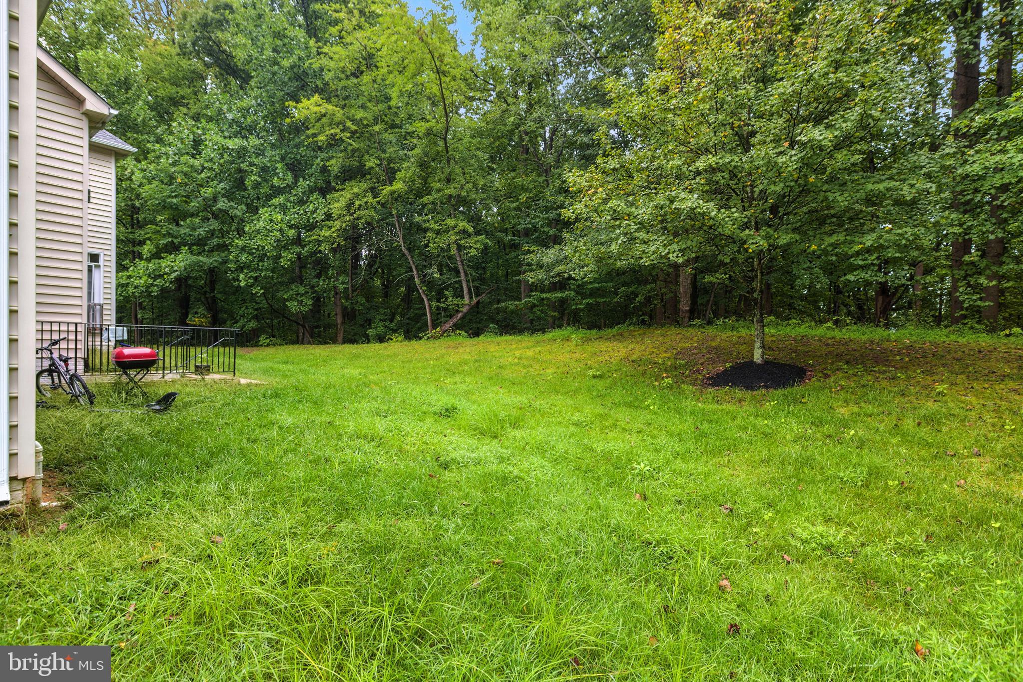 13309 BIG CEDAR LANE