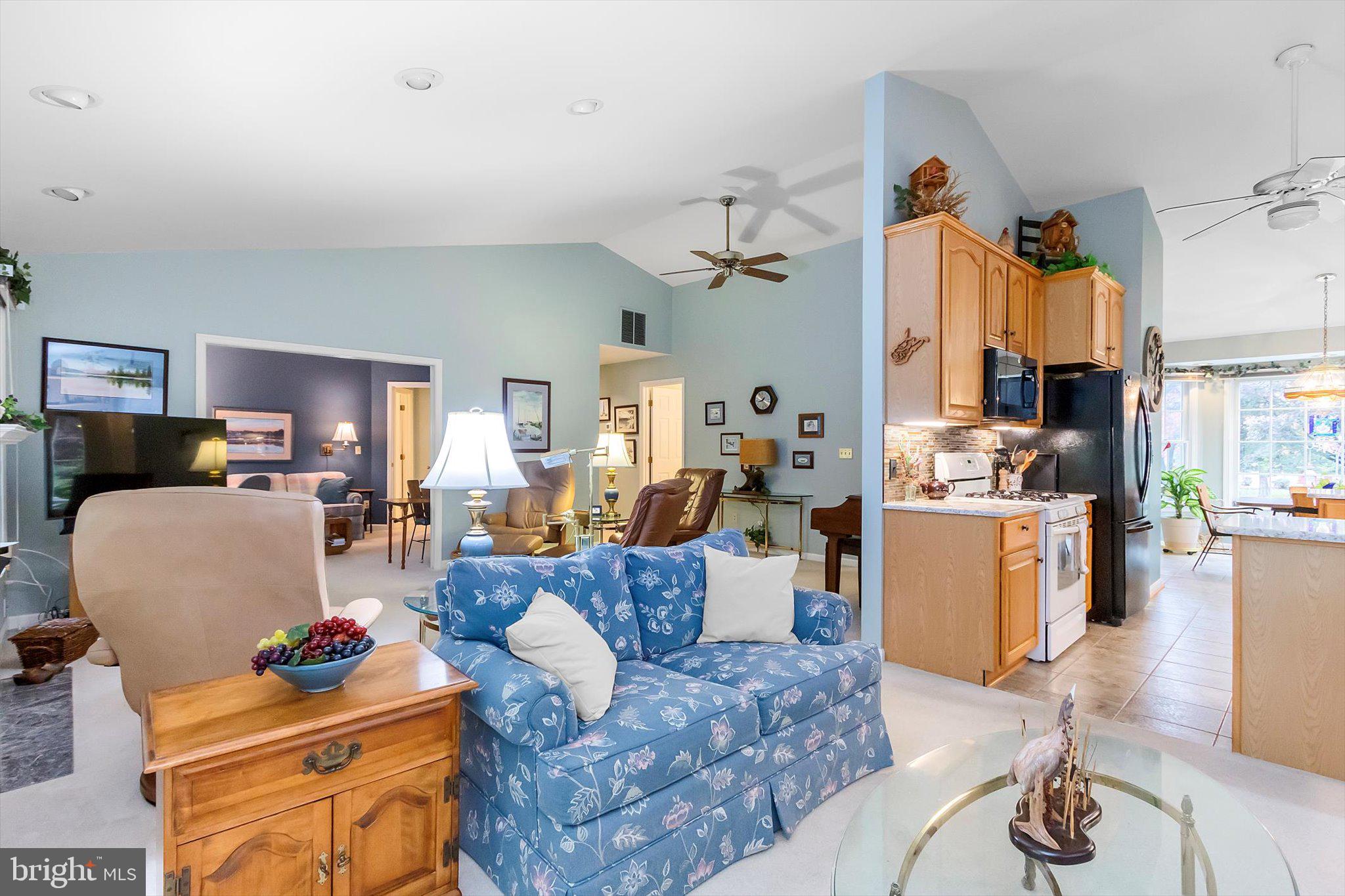 STEAMBOAT RUN ESTATES - Residential