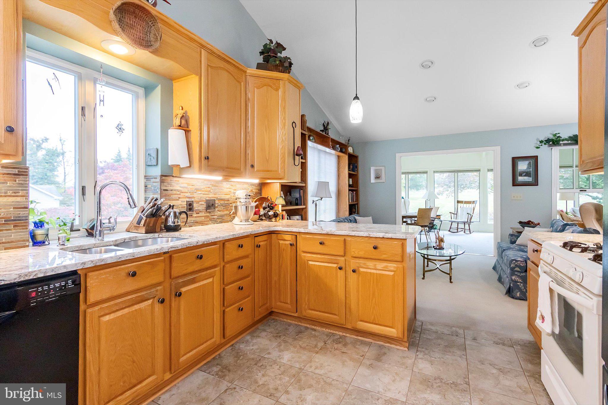 STEAMBOAT RUN ESTATES - Residential