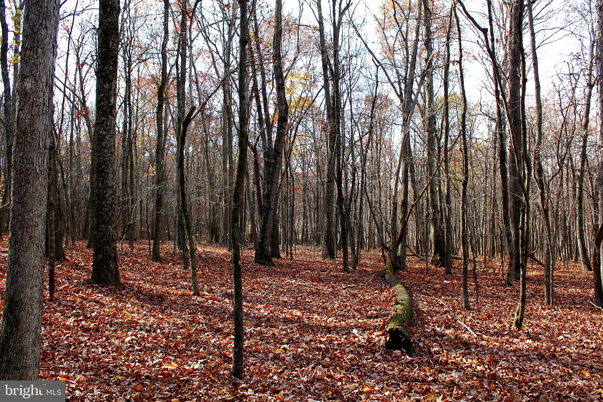 MEADOW HILLS - Residential