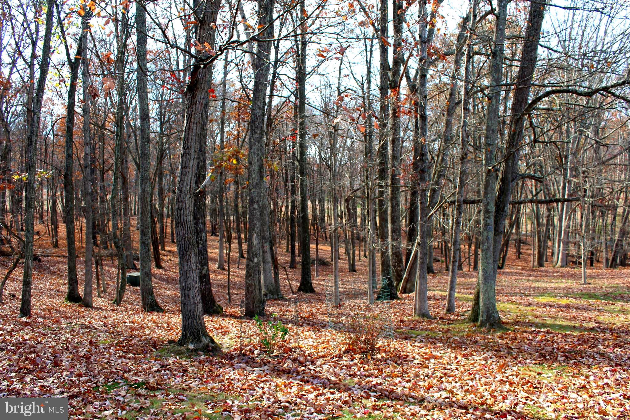 MEADOW HILLS - Residential