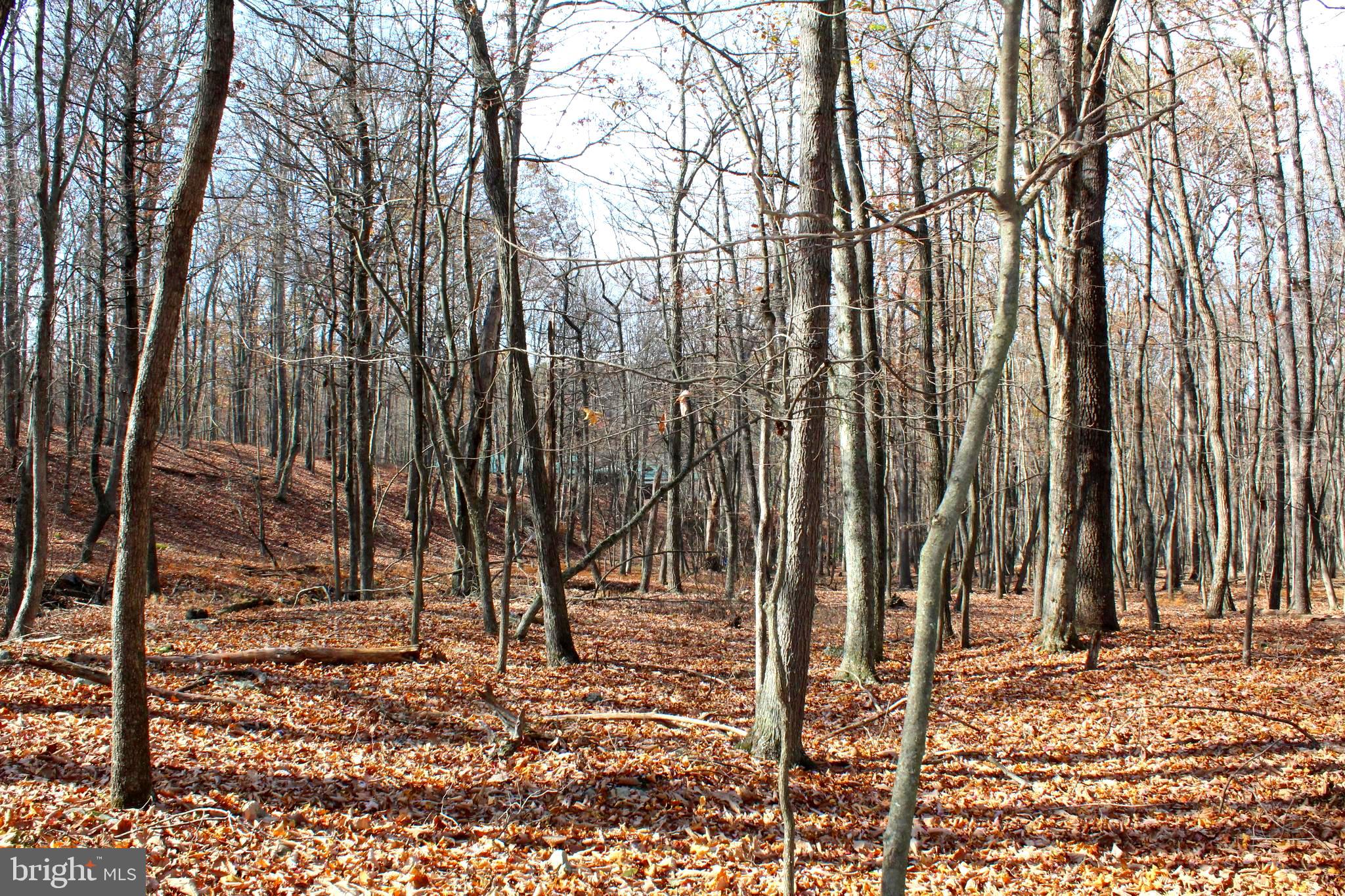 MEADOW HILLS - Residential