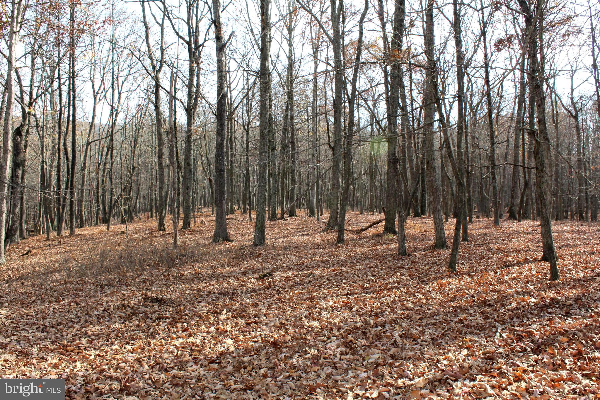 MEADOW HILLS - Residential