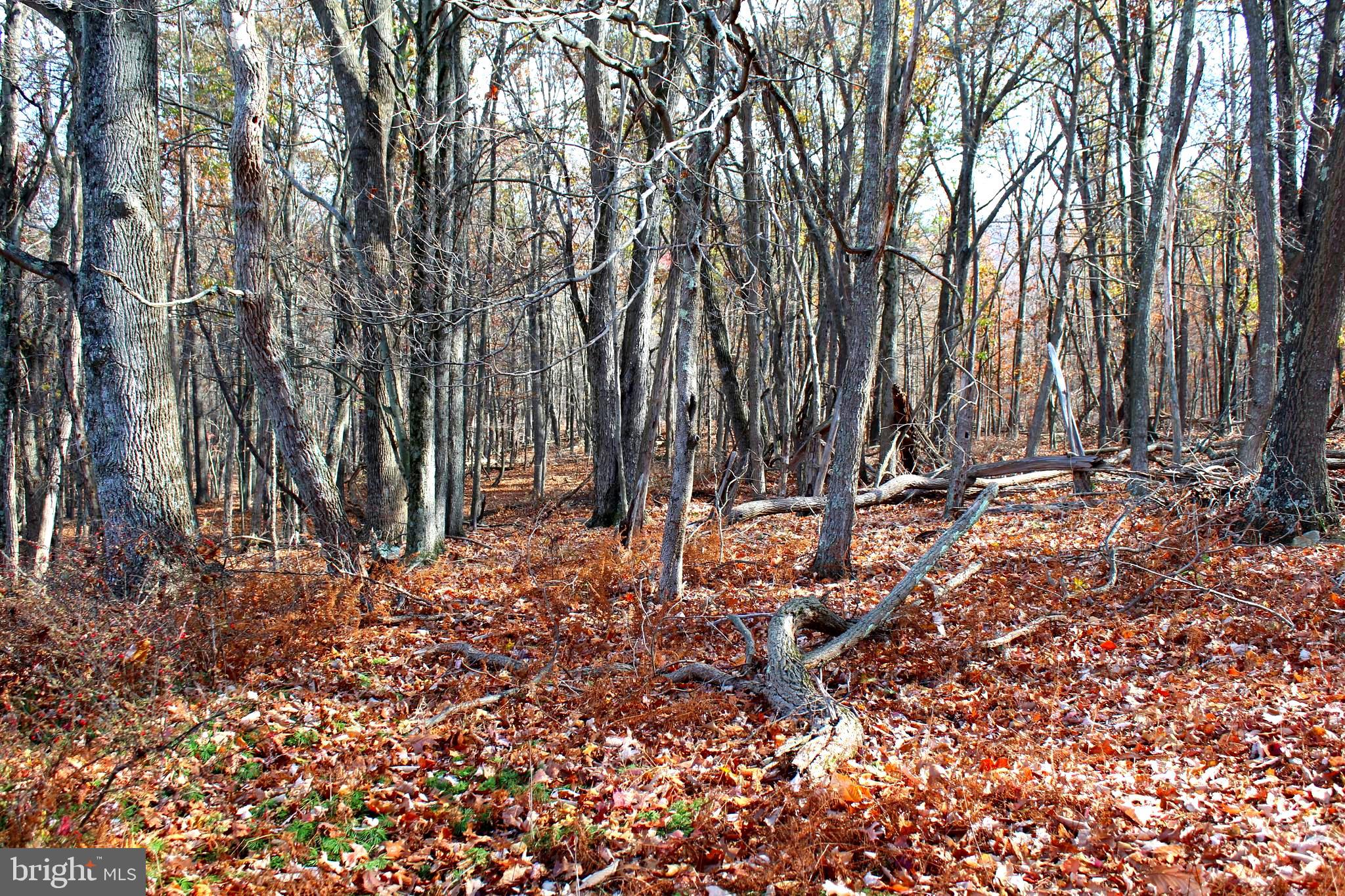 MEADOW HILLS - Residential