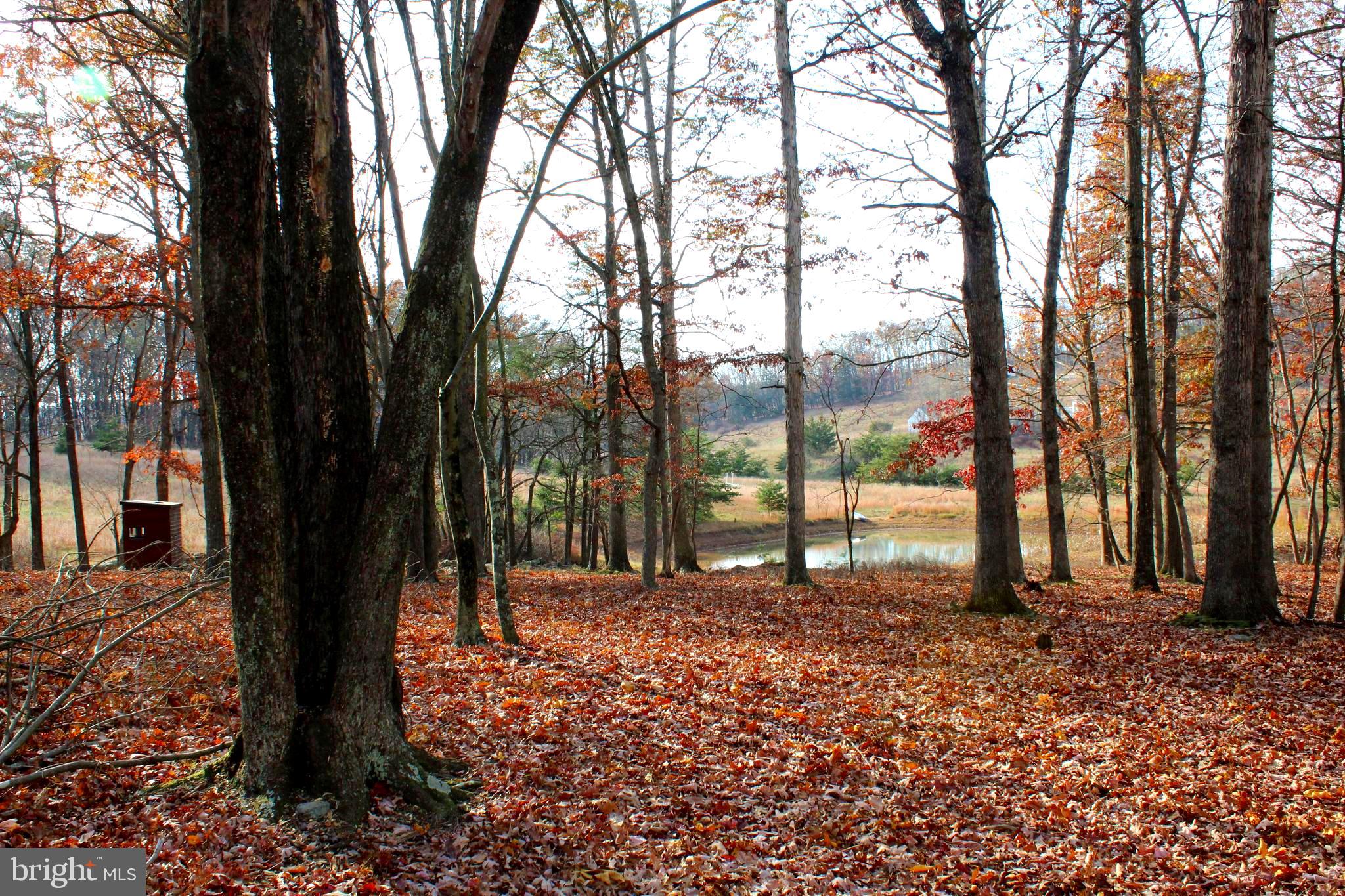 MEADOW HILLS - Residential