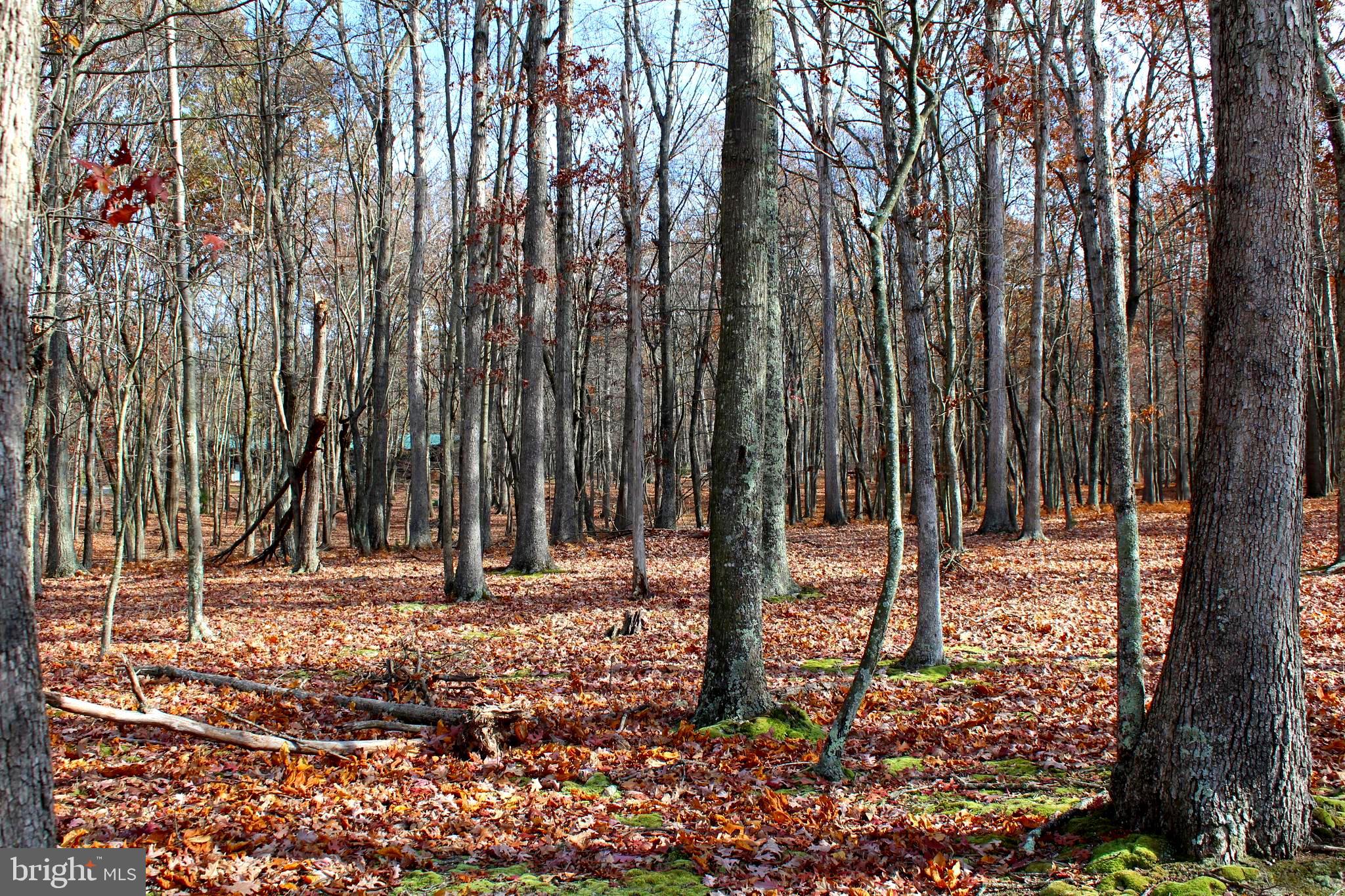 MEADOW HILLS - Residential